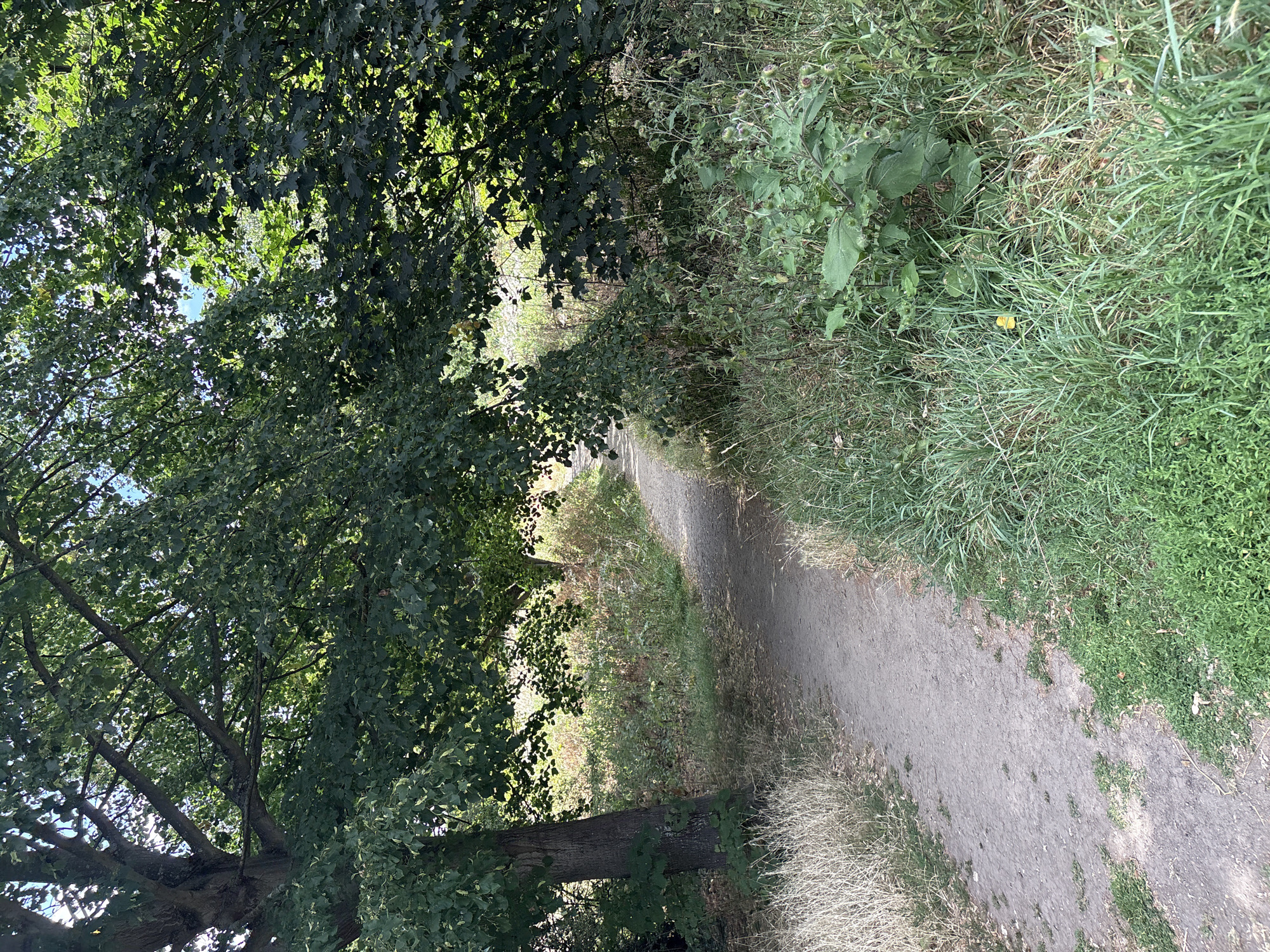 Chelmsford, United Kingdom
