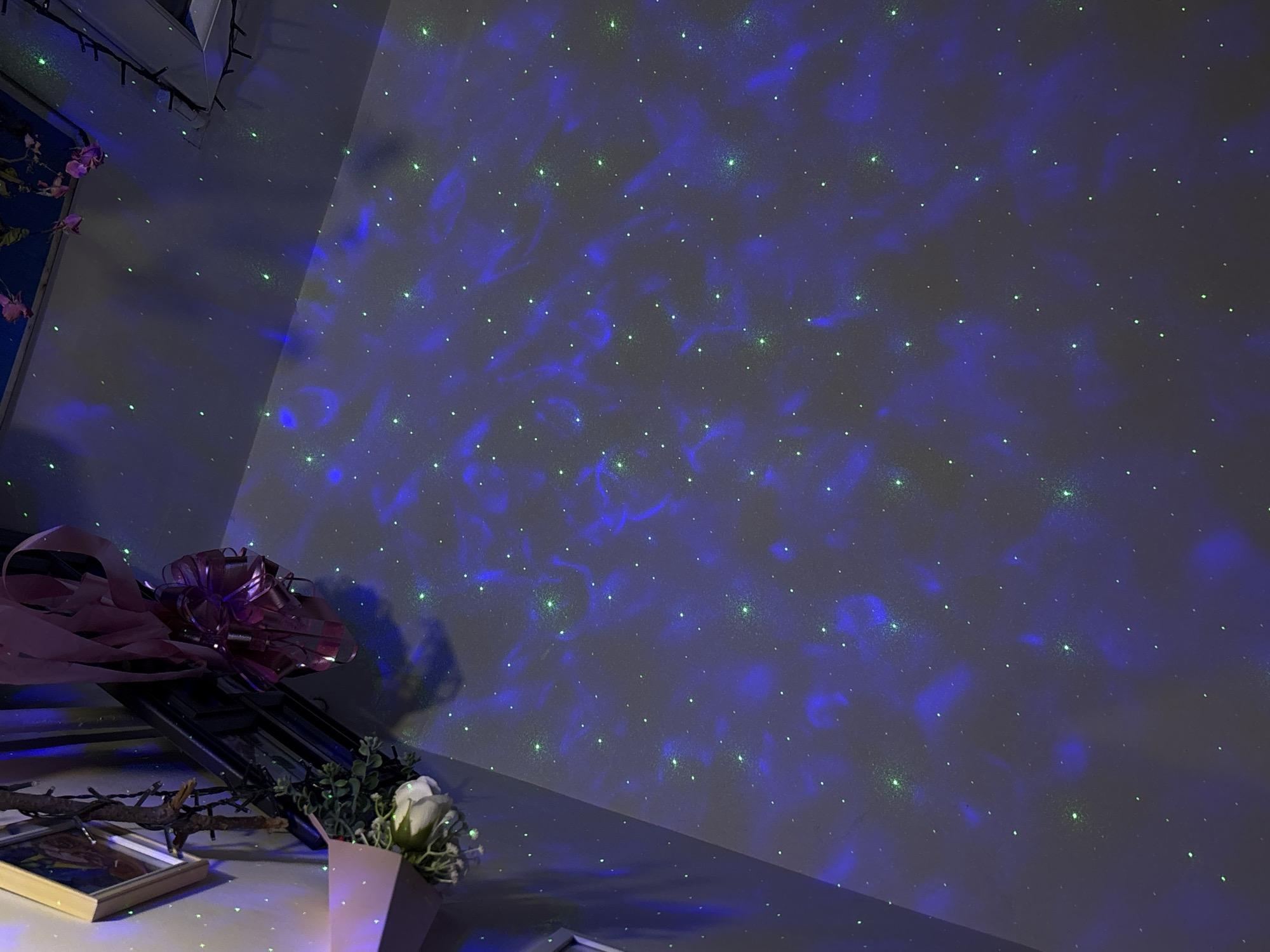 Pet owner relaxes with German Shepherd in star-lit Sofia bedroom