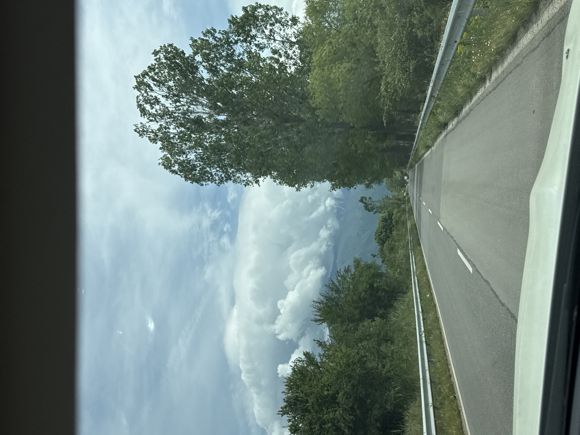 Vehicle travels tree-lined road in Kocherinovo, Bulgaria