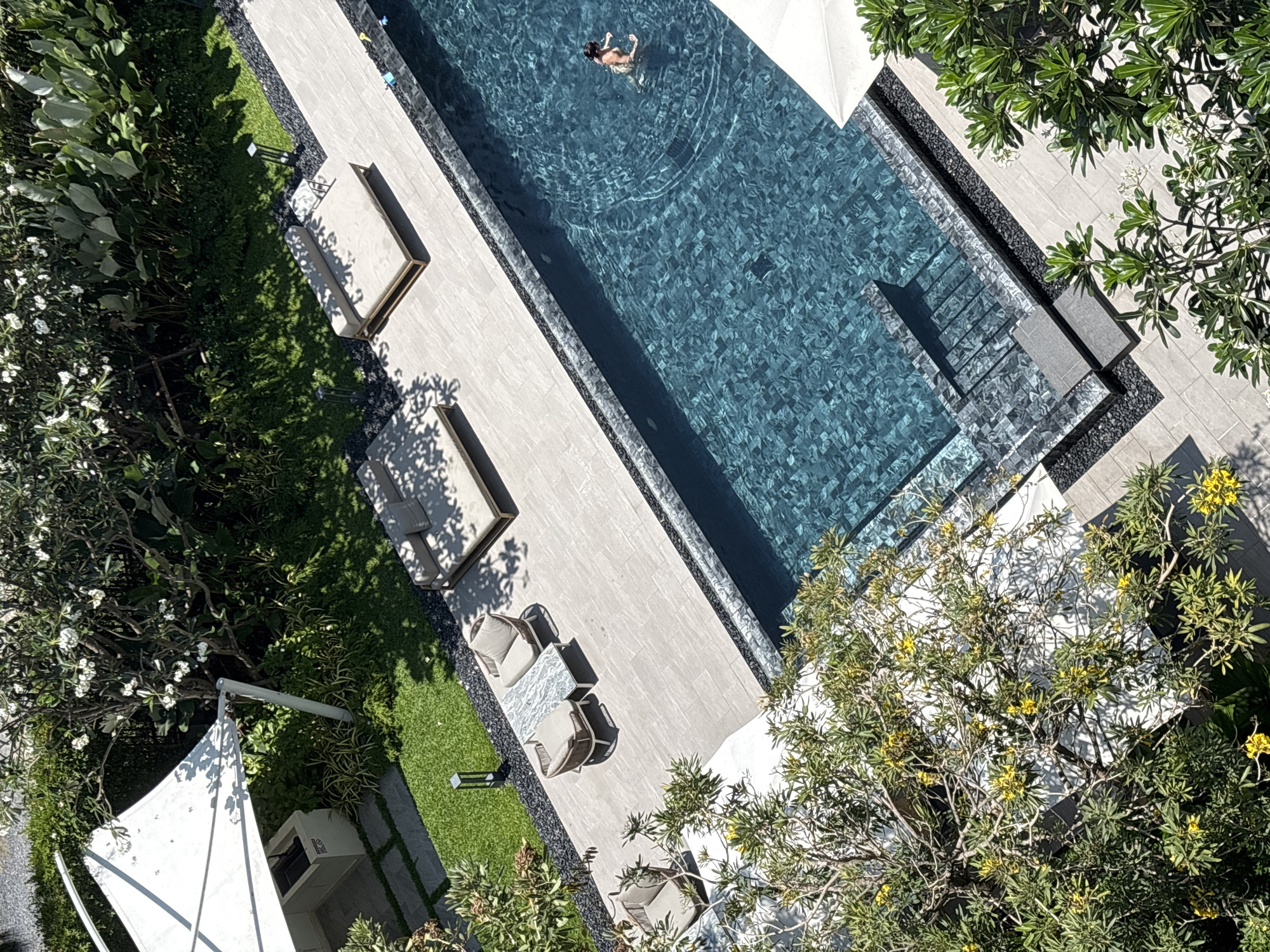 Early morning swimmer captured in Choeng Thale pool