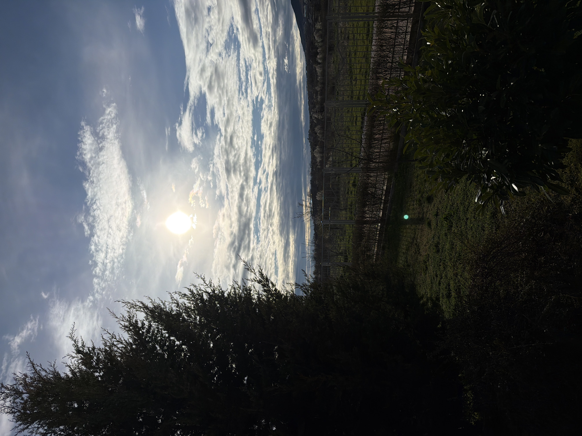 Morning scenes captured across Bulgarian villages