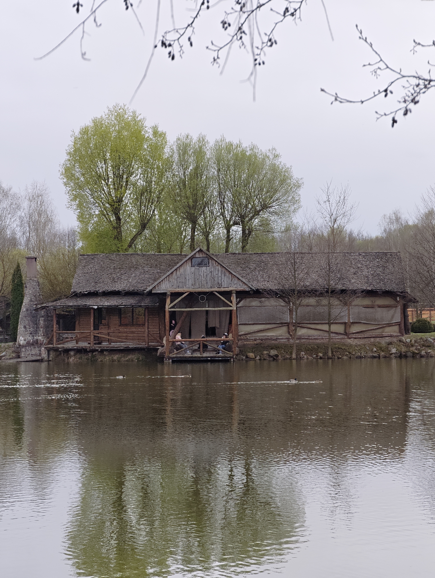 Rural Belarus farm animals and scenery documented by visitor