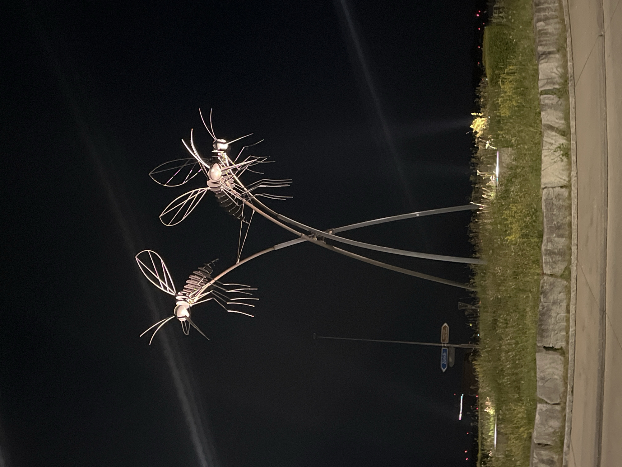 Metallic insect sculptures spotted in Dübendorf public art installation
