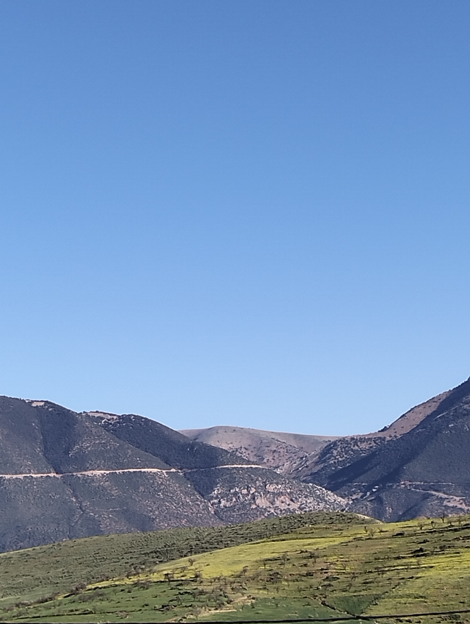 Spring wildflowers bloom in mountainous Morocco countryside
