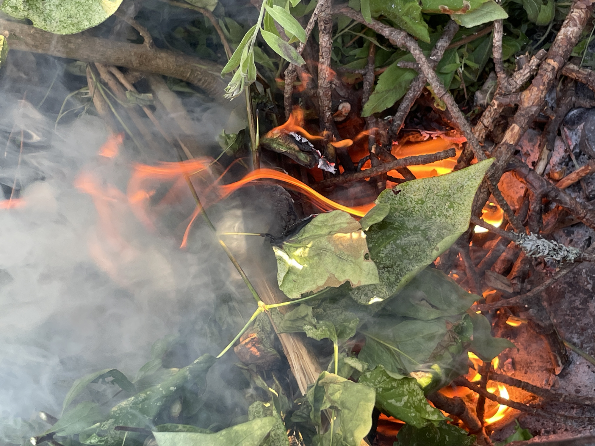 Garden waste fire burning in Tallinn, smoke and flames close up