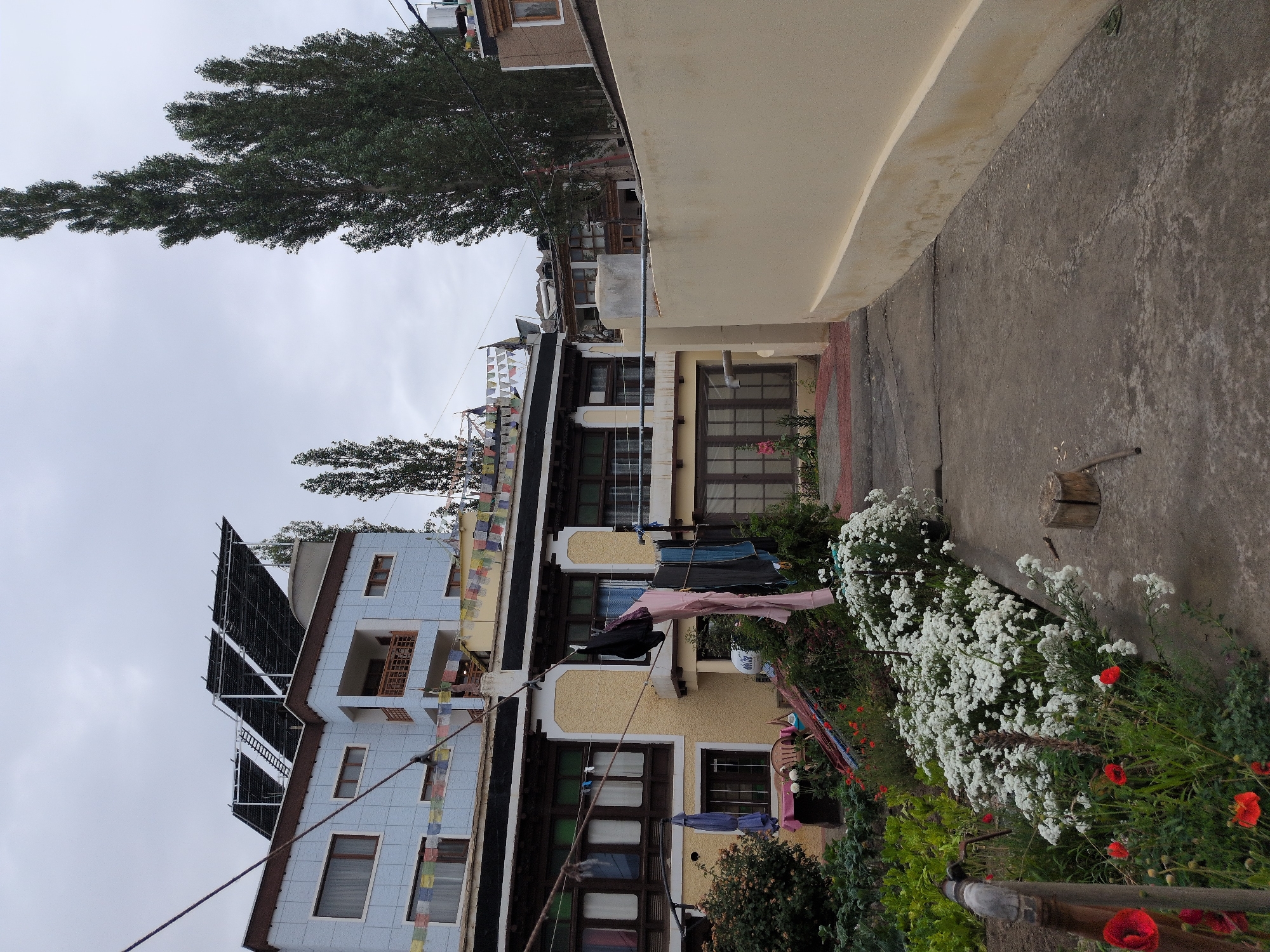 Inside and around a guesthouse in Leh, Ladakh