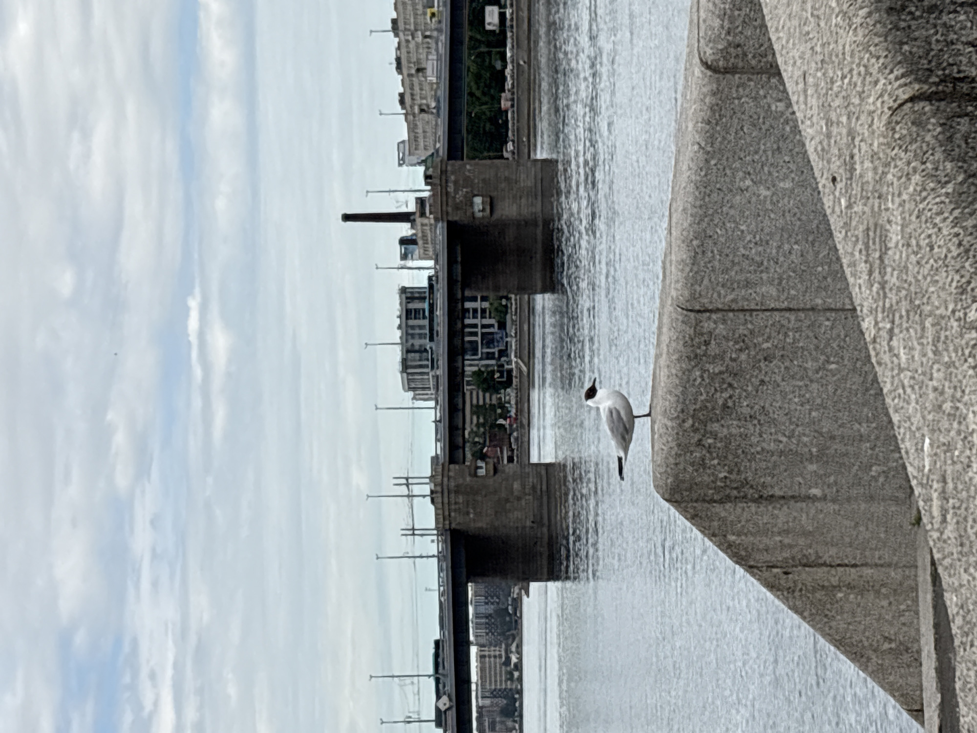 River life documented along Neva near St. Petersburg