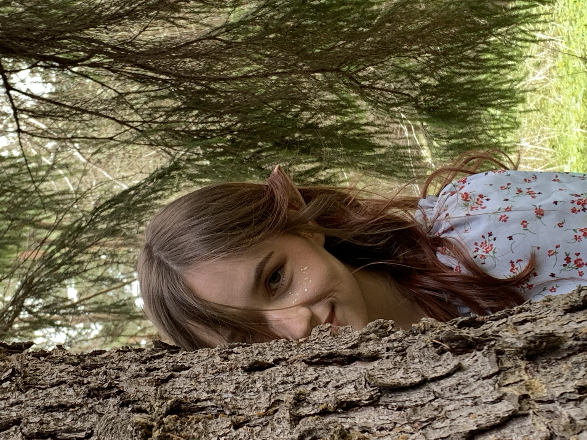 Fantasy photo shoot in Russian woodland captured by witness