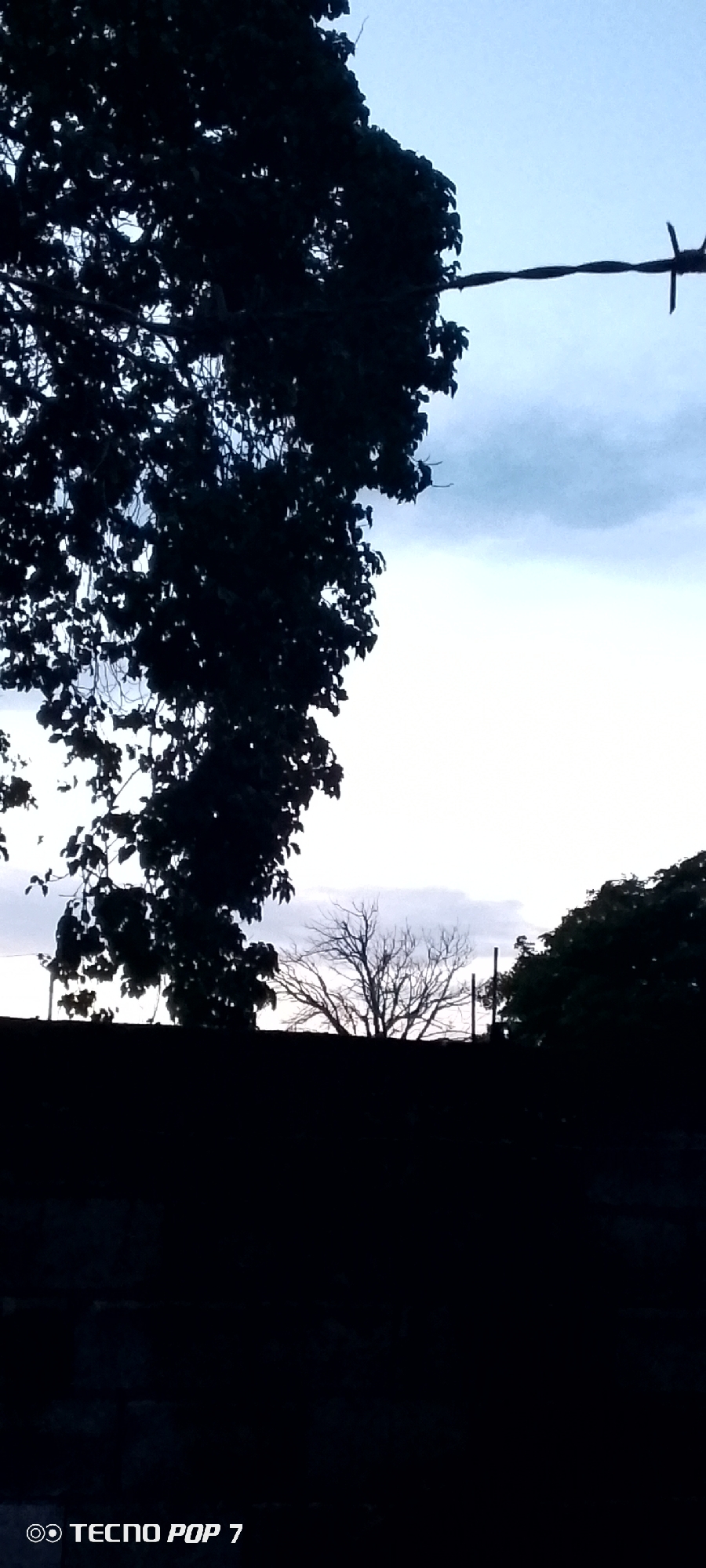 Evening sky watching documented across Altagracia, Venezuela