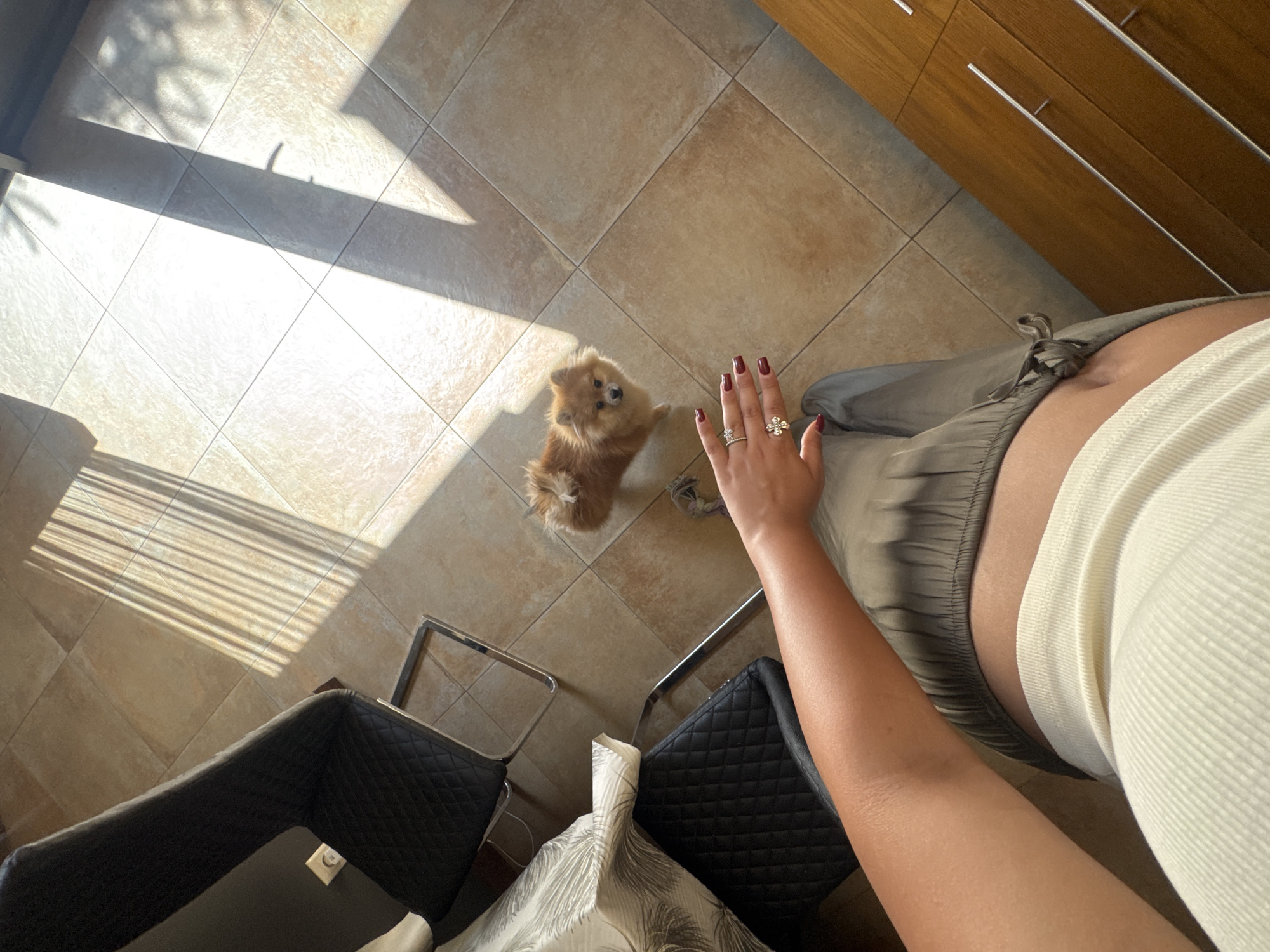 Berry jam in progress, Pomeranian very interested