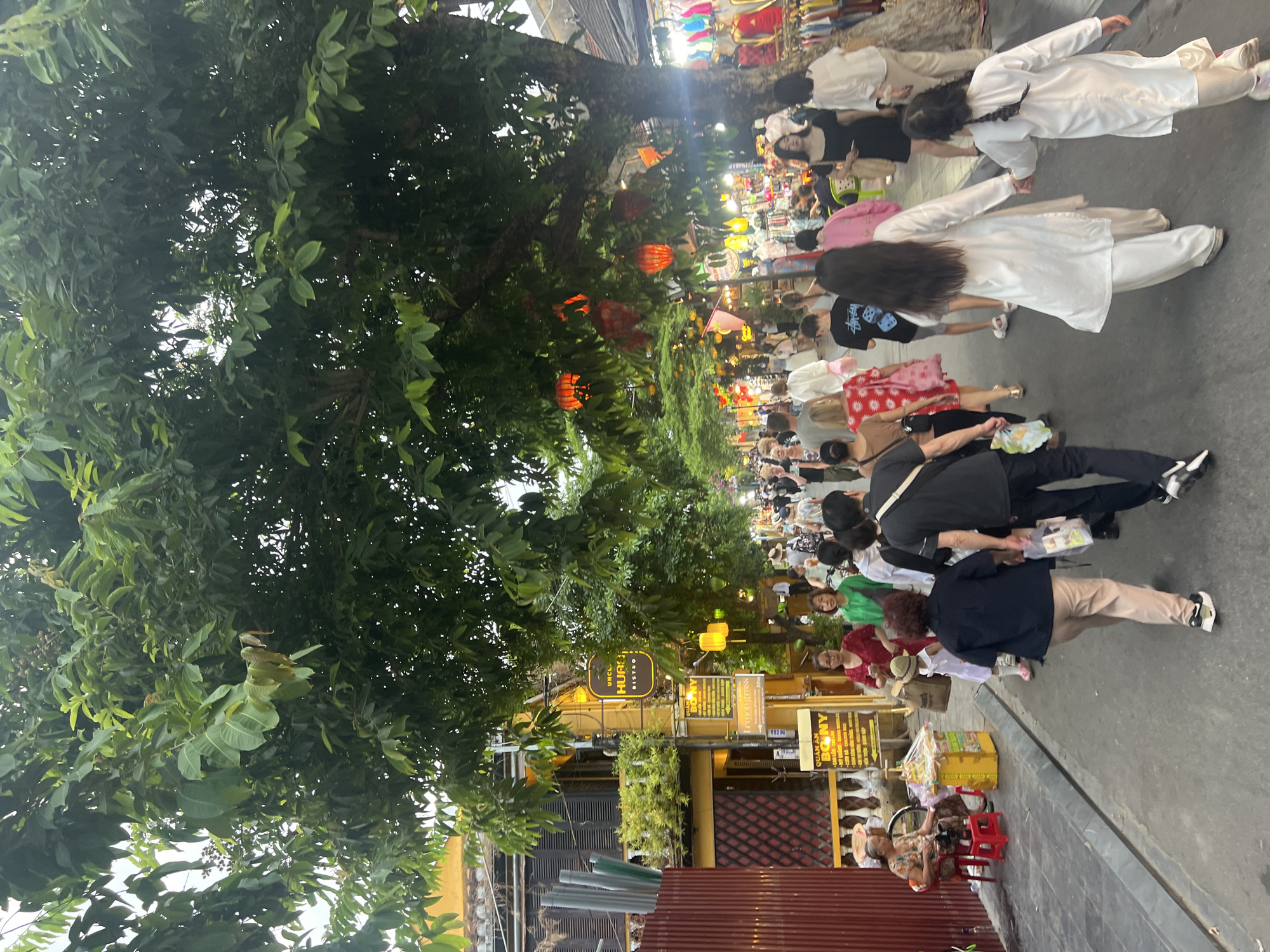 Lanterns, bougainvillea, and old architecture in Hoi An