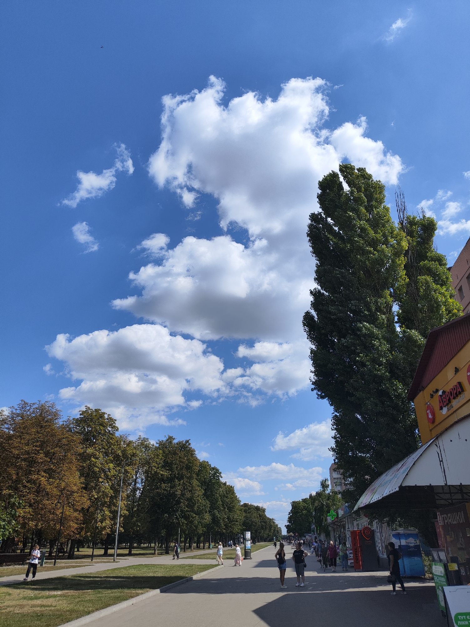 Colorful flower beds and pedestrians in a Kharkiv park