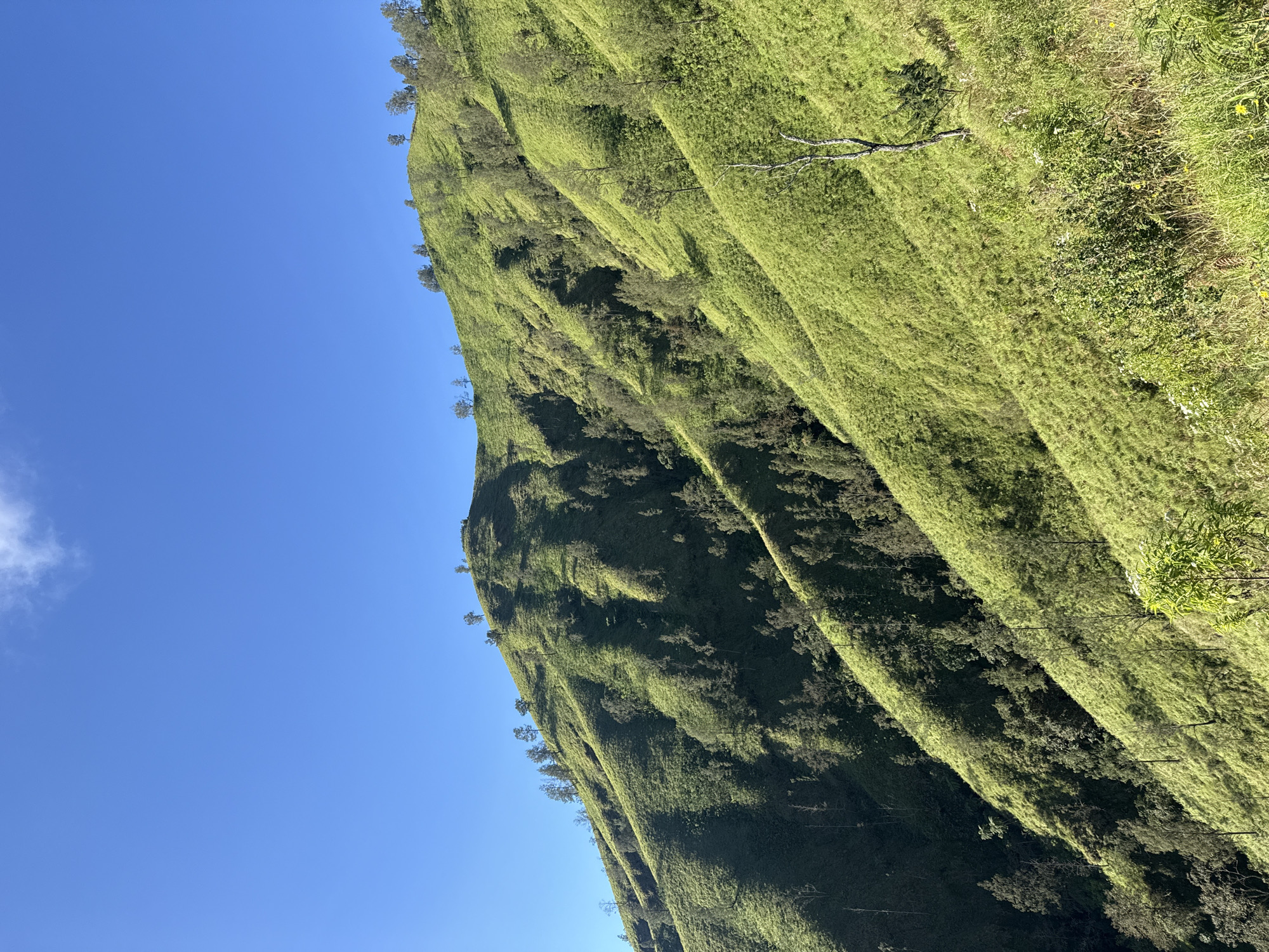 Hillside landscape photographed in Kintamani, Indonesia