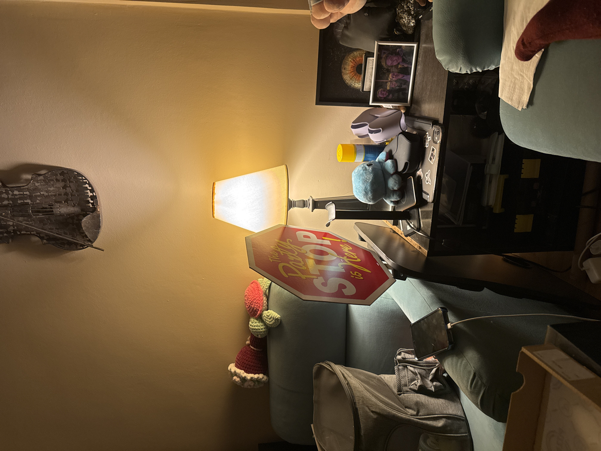 Sofia resident documents cluttered living space during evening hours