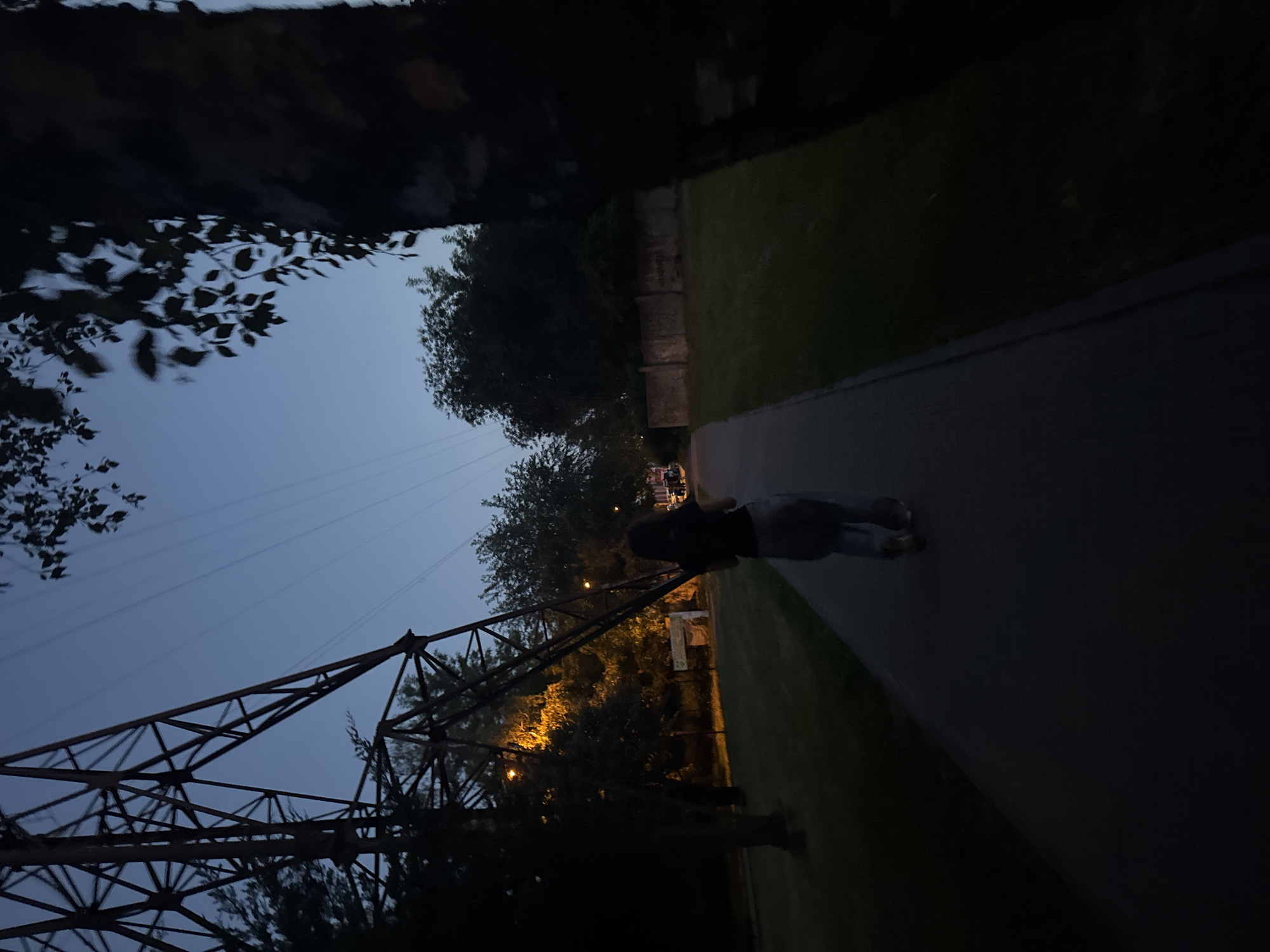 Evening snapshots capture urban dusk scenes and lakeside swans