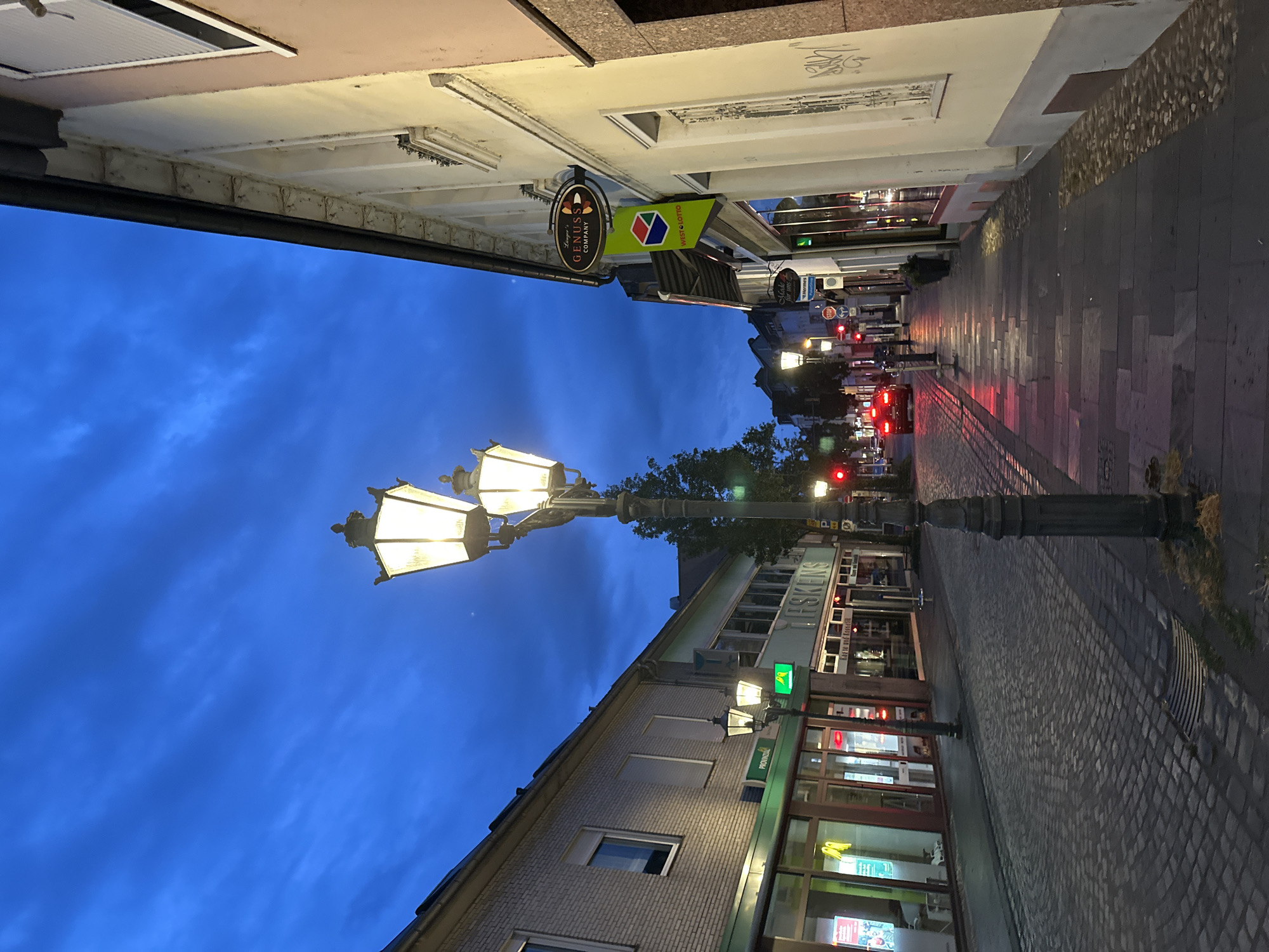 Evening stroll through Krefeld's Königstraße, flowers and tram tracks