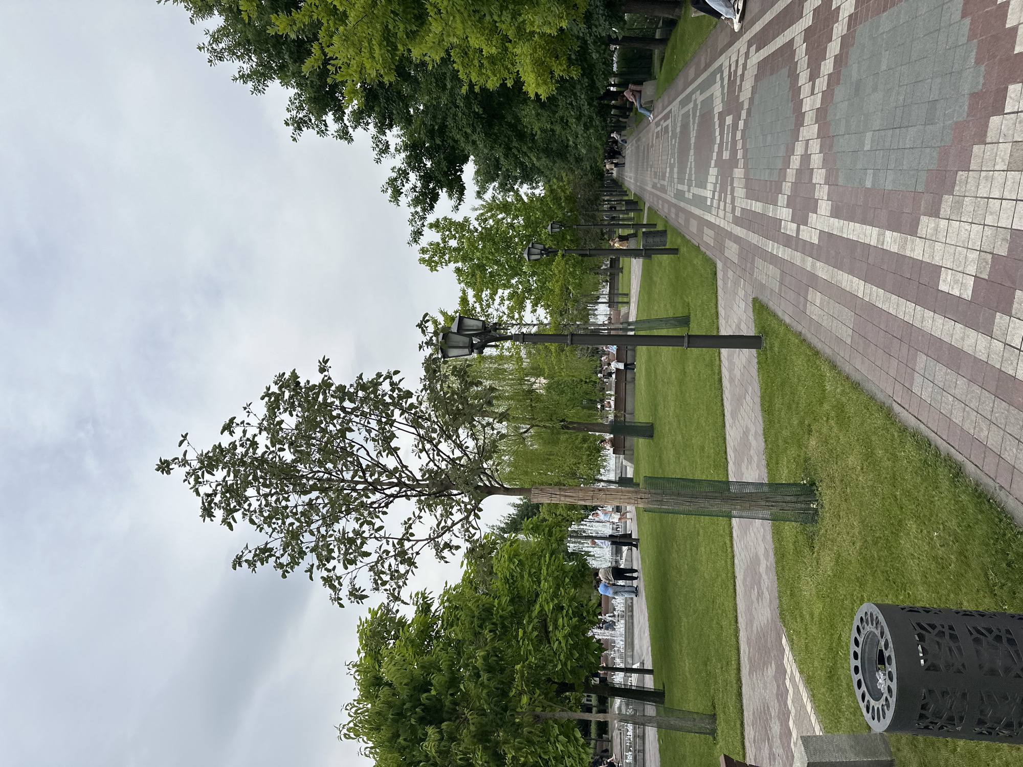 Pedestrian walkway with landscaping documented in Yerevan, Armenia