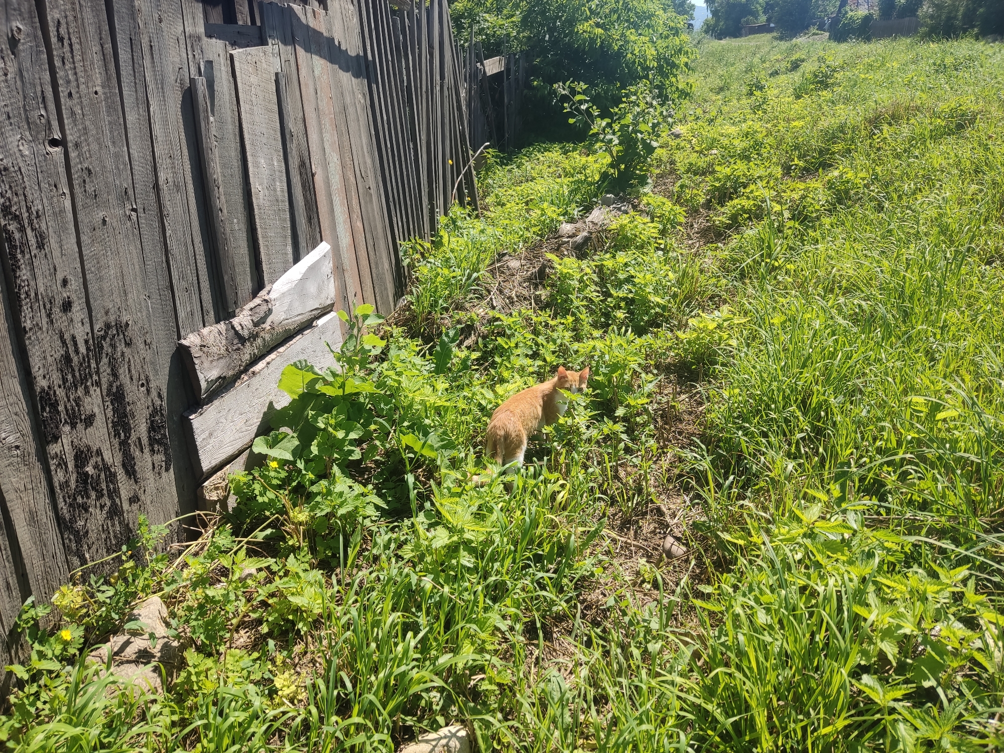 Rural landscapes, dirt roads, and rustic buildings on a clear day