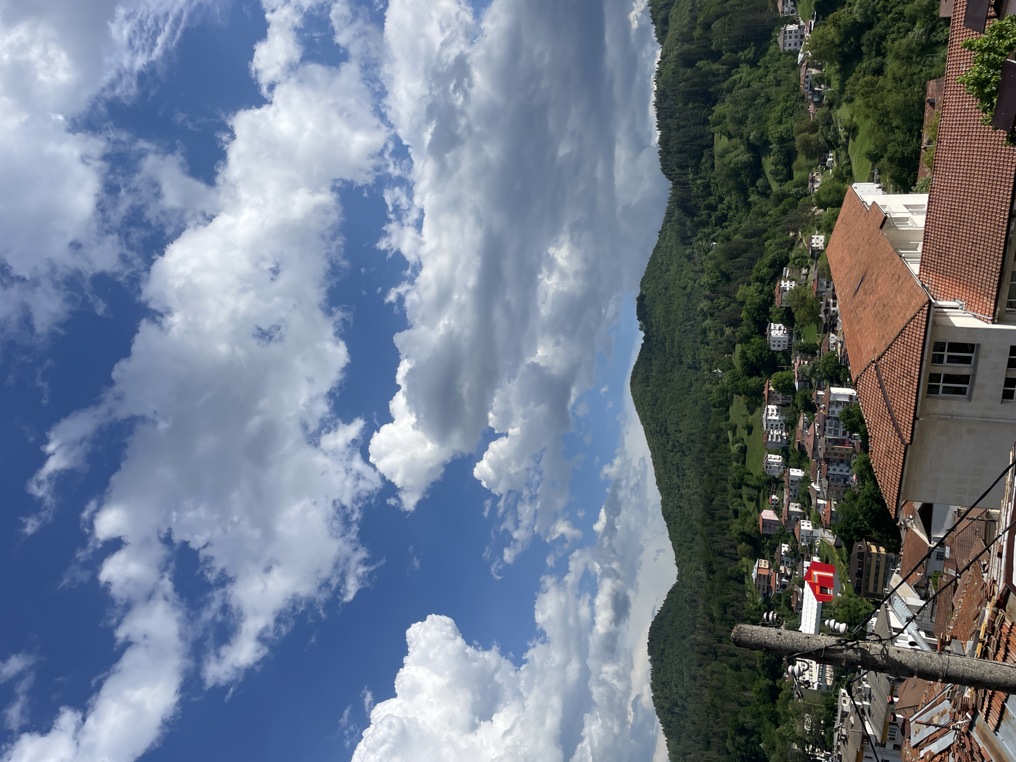 Quiet afternoon with cat companion in Bulgarian mountain town