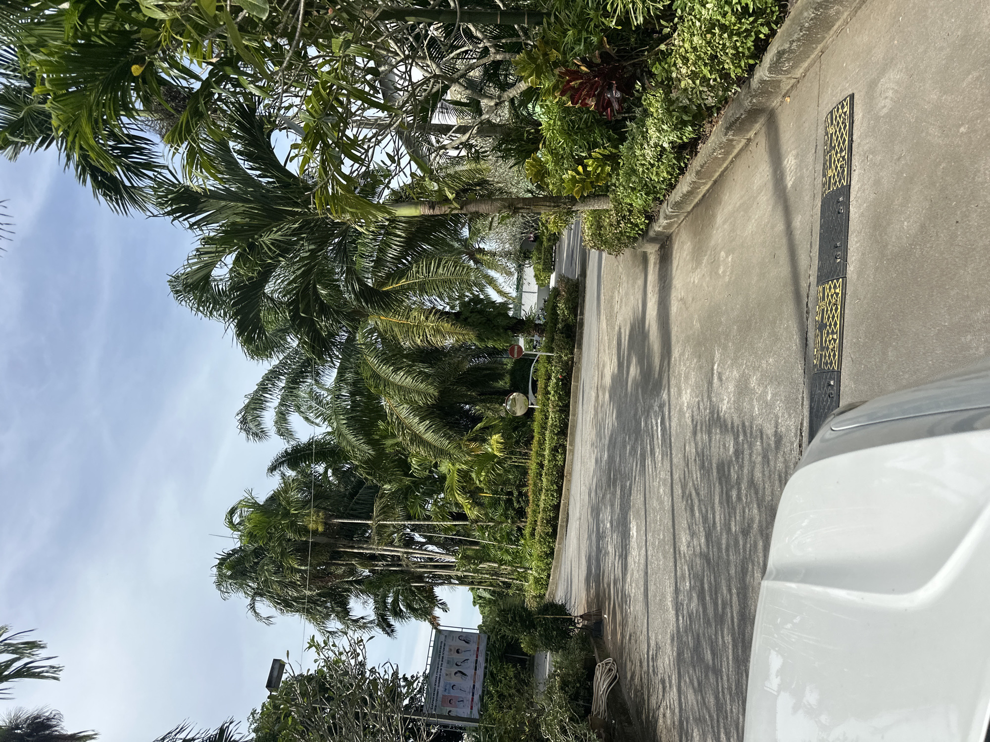 Vehicle journey documented through tropical Kathu, Thailand roads