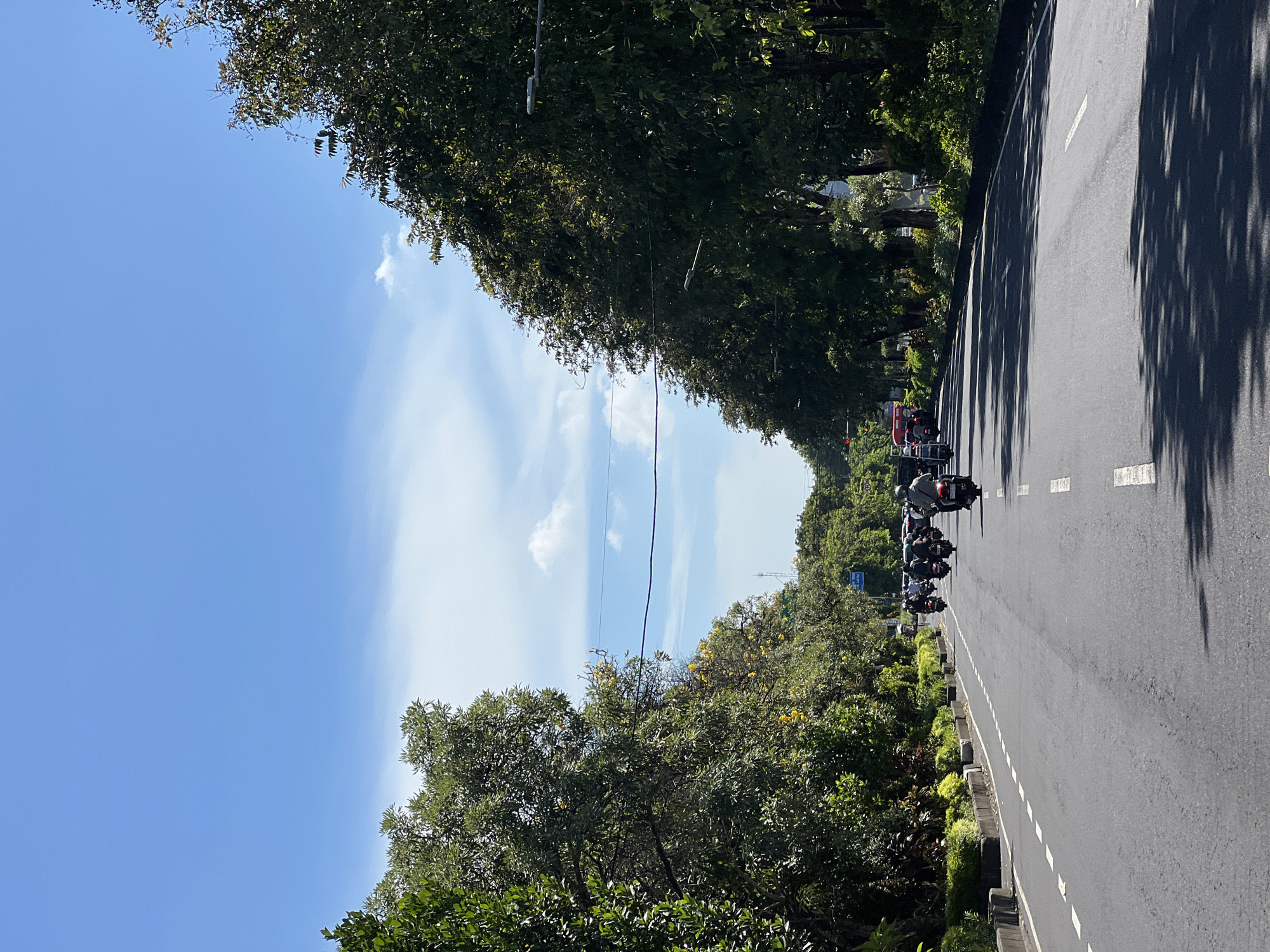 Sunny morning captured on tree-lined road in Denpasar