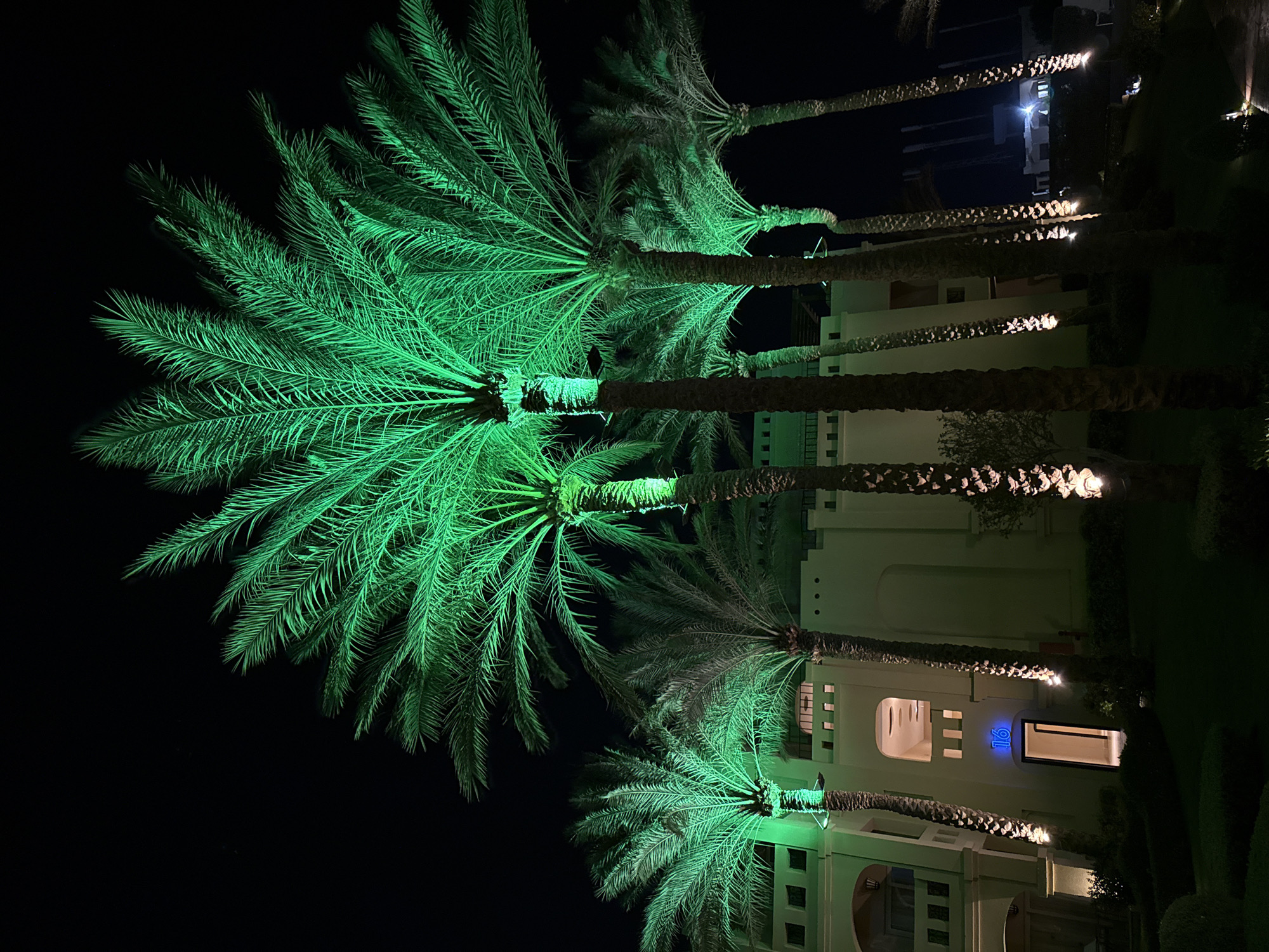 Resort night in Egypt: lit pools, palms, and a outfit flat lay