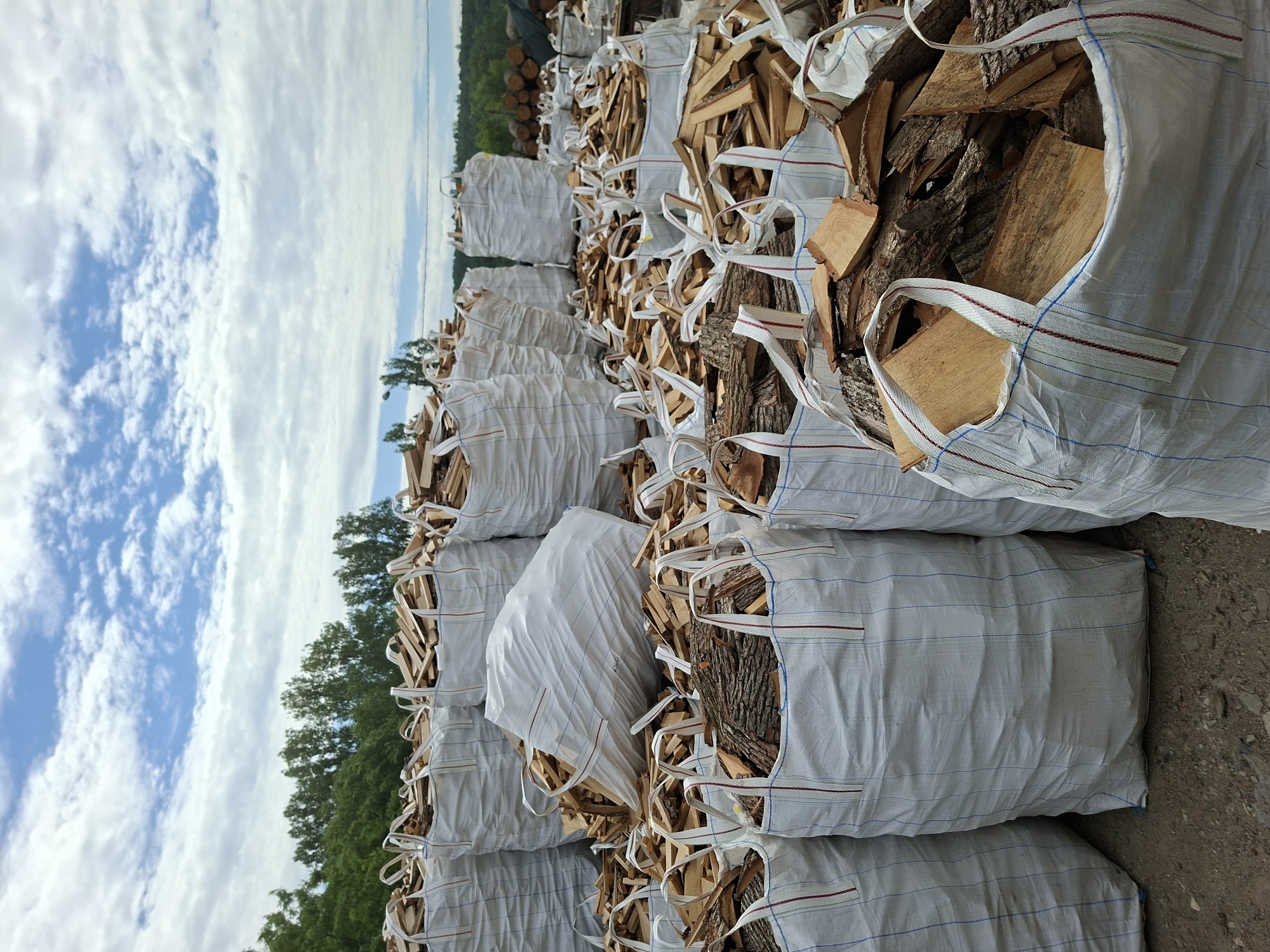 Bulk firewood storage yard in Bălți, Moldova