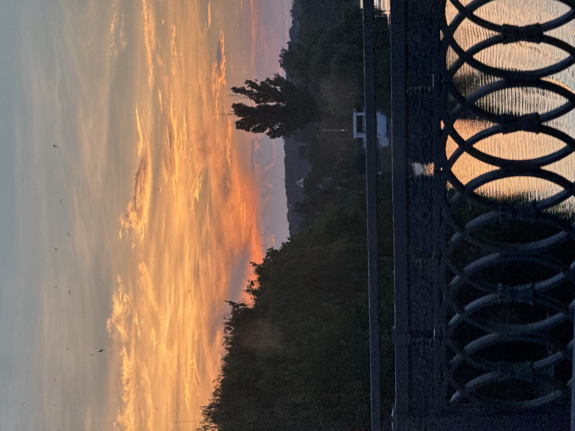 Sunset over a Vinnytsia river, framed by an ornate bridge railing.
