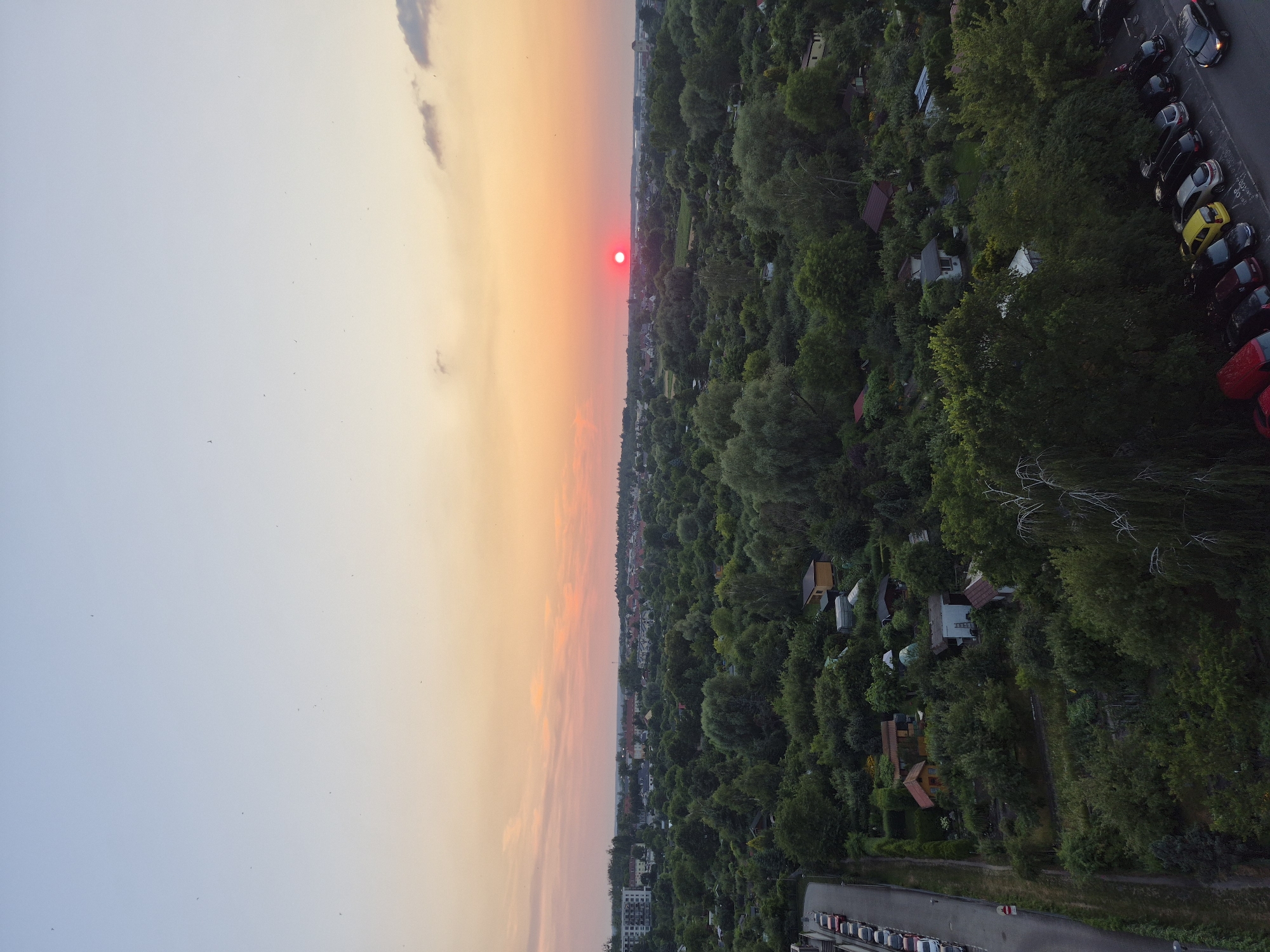 Sunset over a leafy urban-suburban edge from above