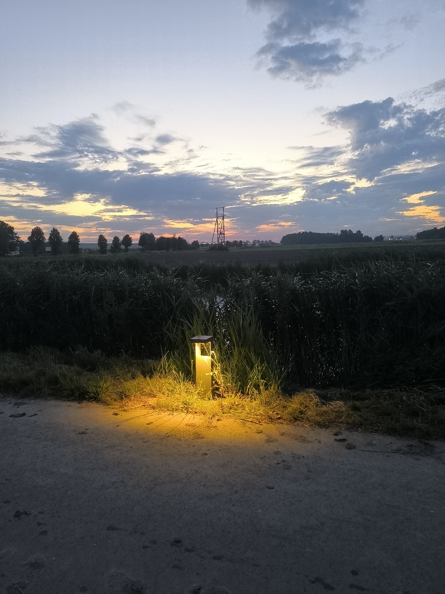 Twilight along a reed-lined path in rural Andijk