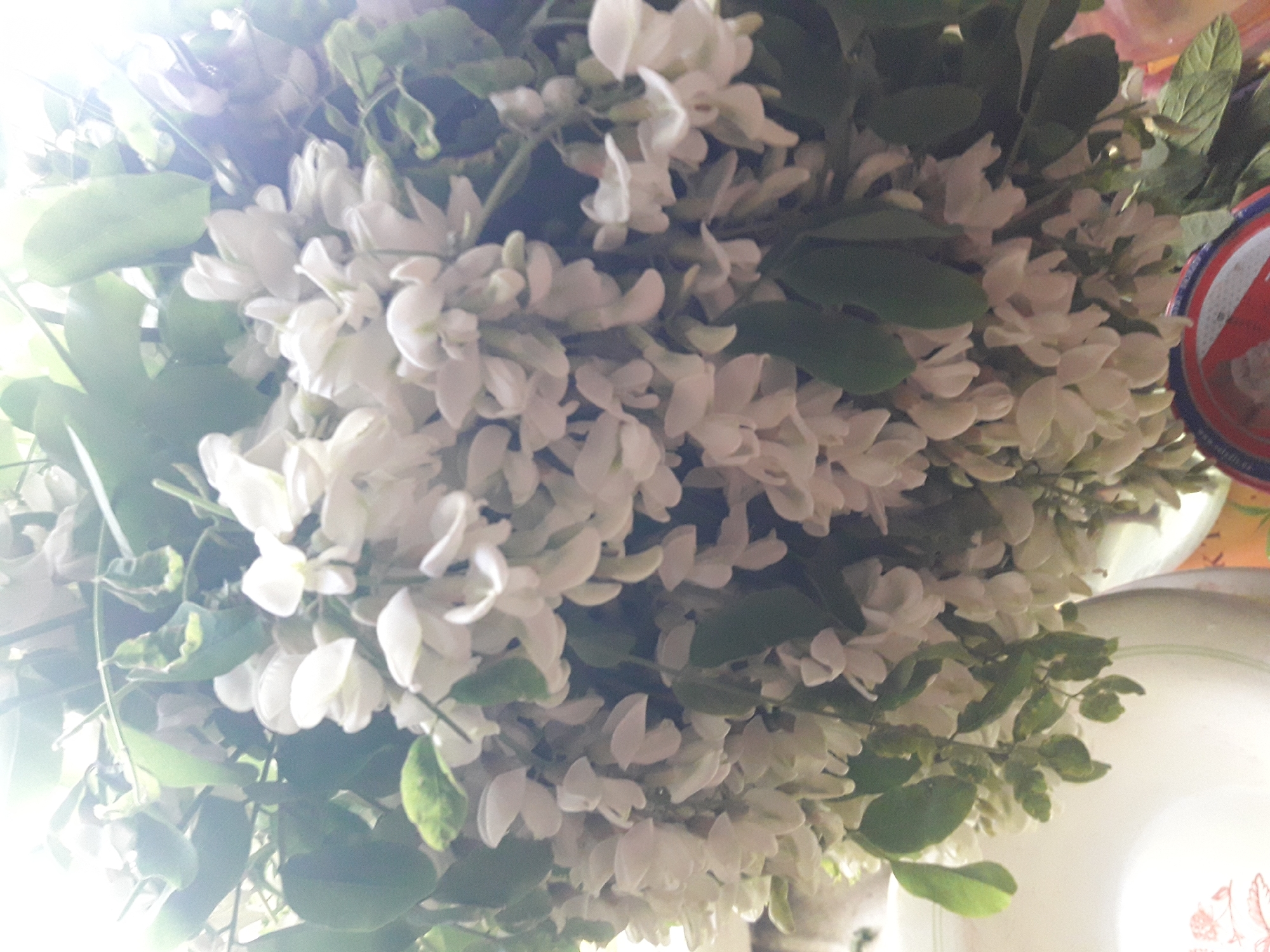 White flowers and illustrated ceramic mug observed within minutes