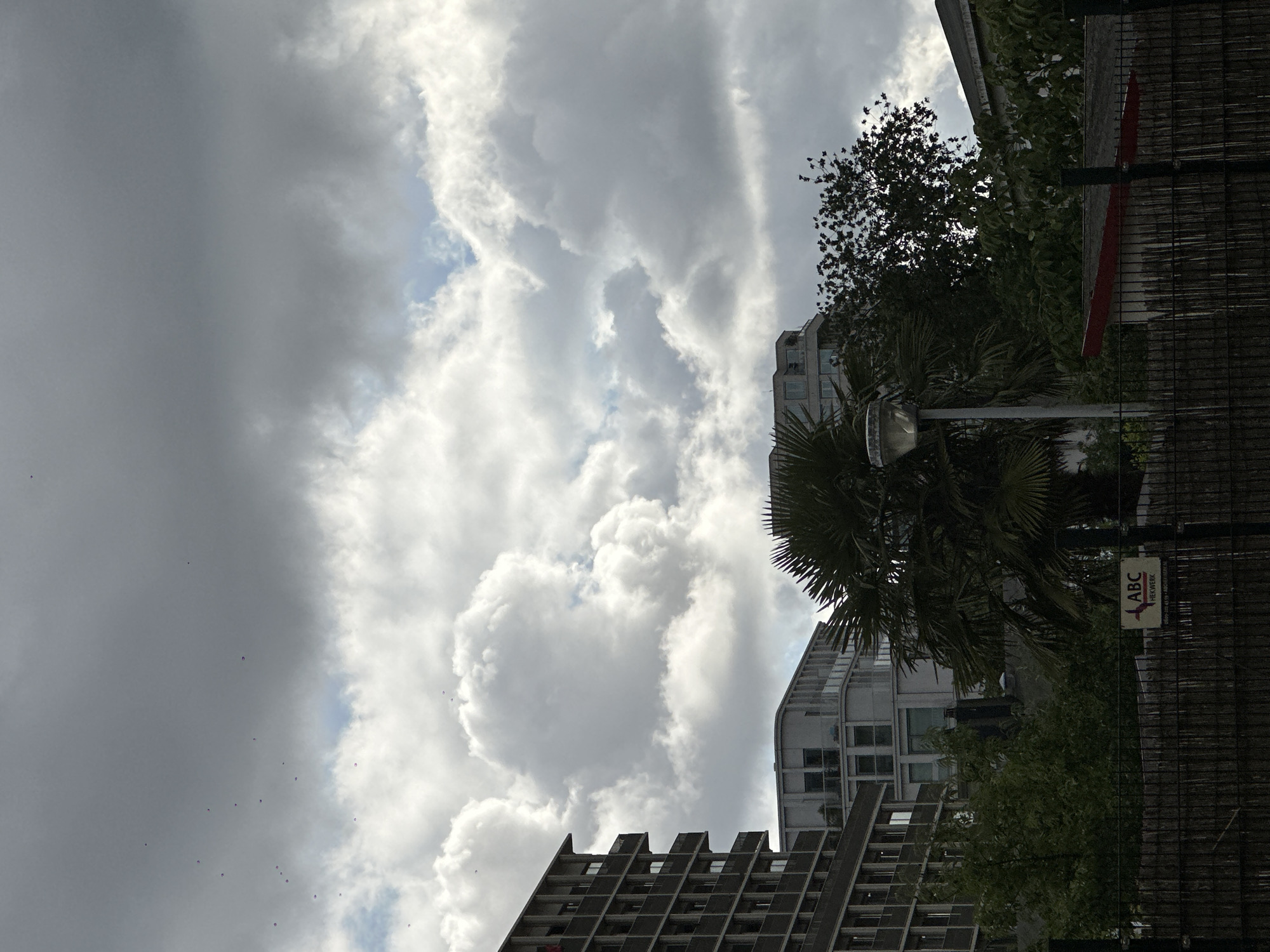 Afternoon Amsterdam walk: modern architecture, canals, and street cat