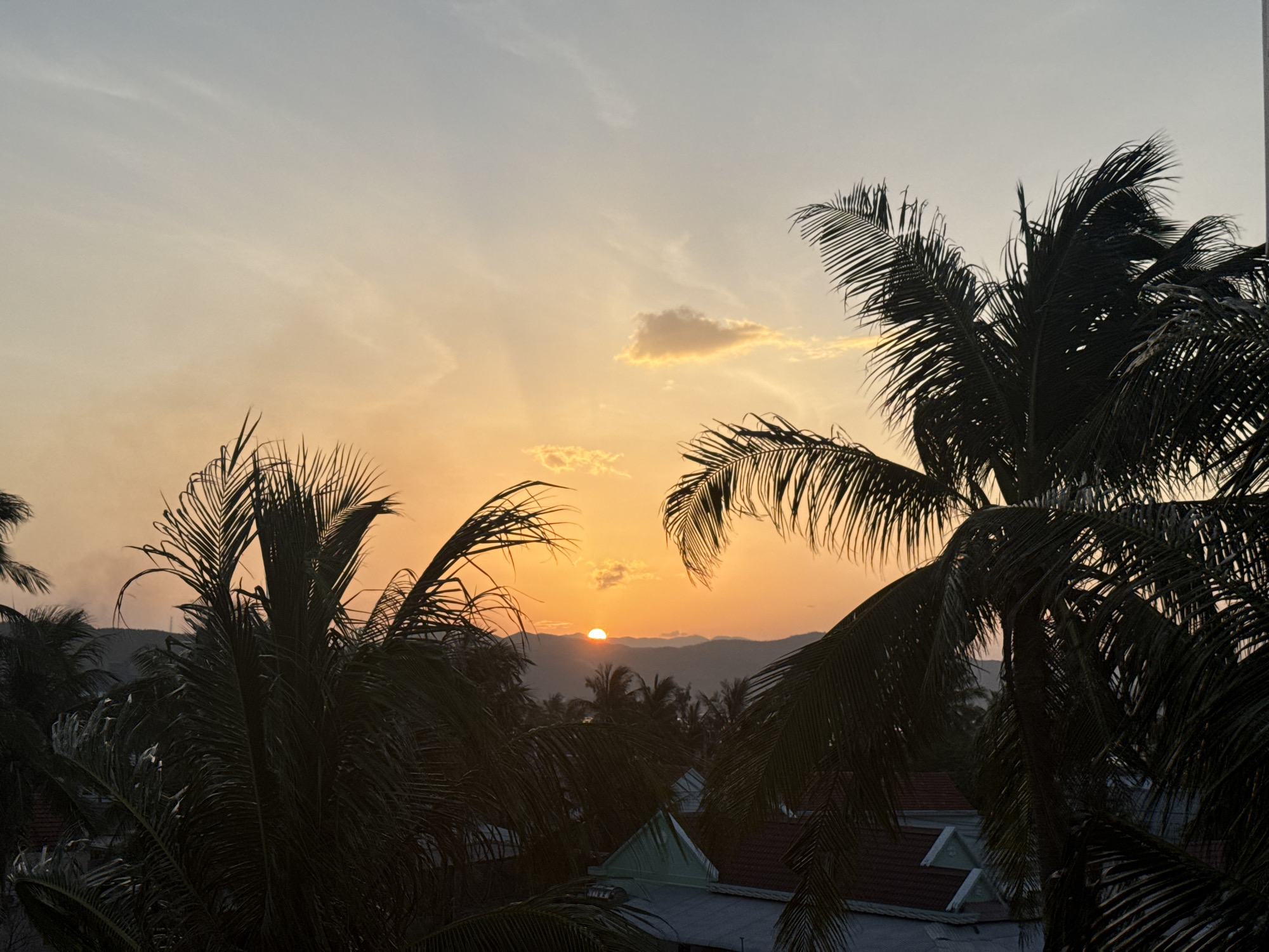 Tropical sunset series: palms, mountains, and coastal views