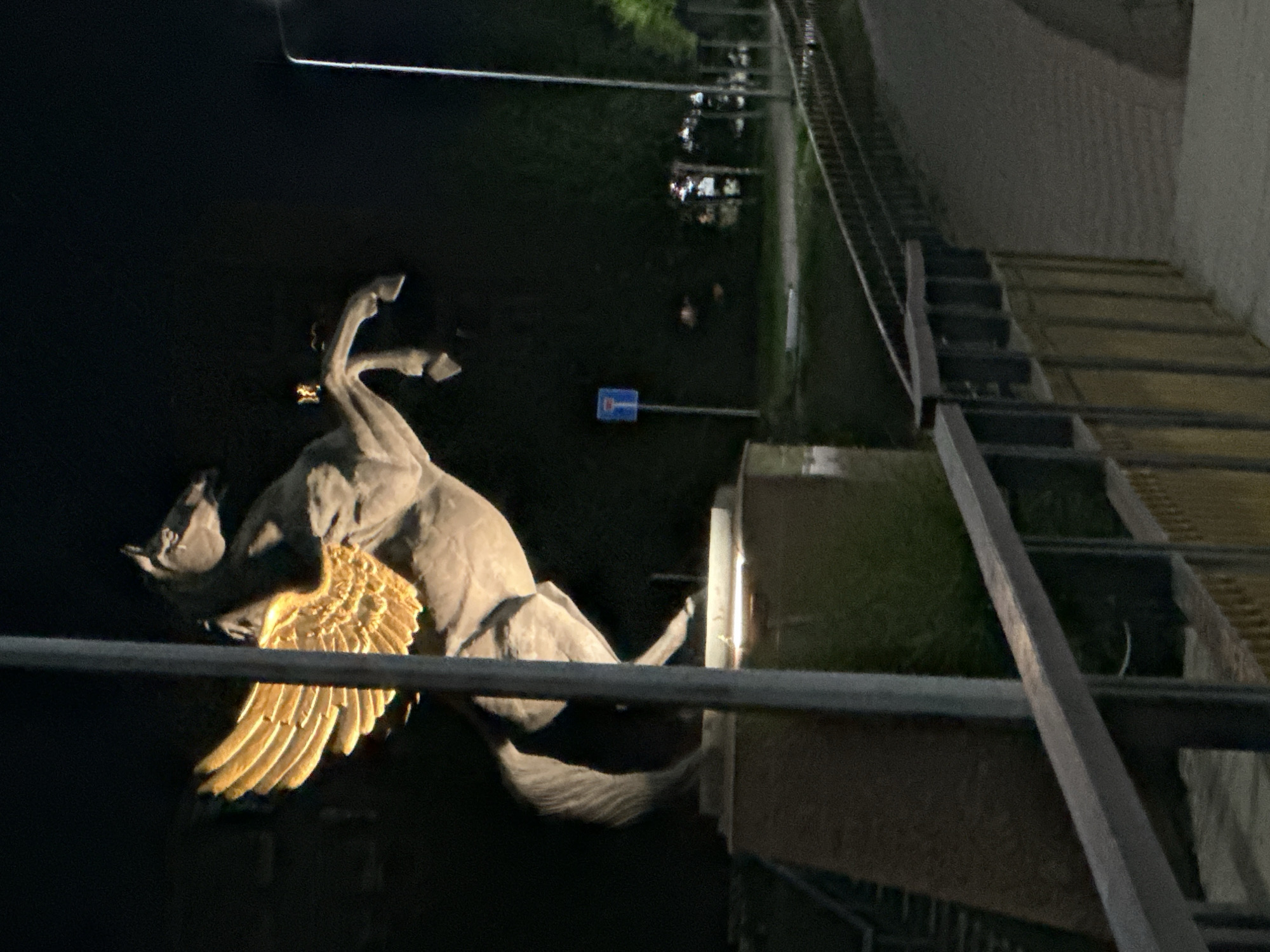 Nighttime stroll past Kostanay's illuminated Pegasus statue and riverside promenade