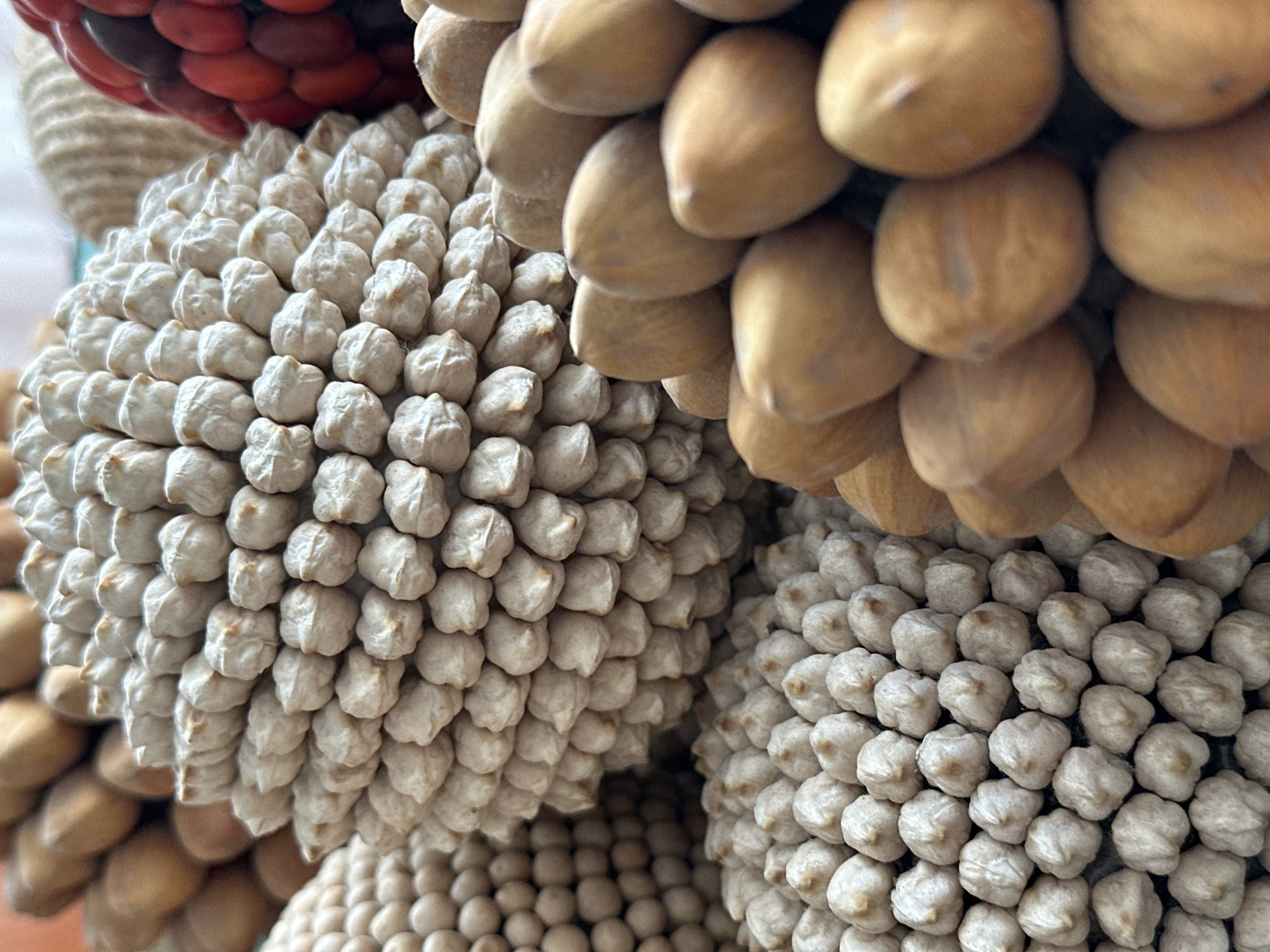 Seed-based decorative crafts observed in Jesús del Monte