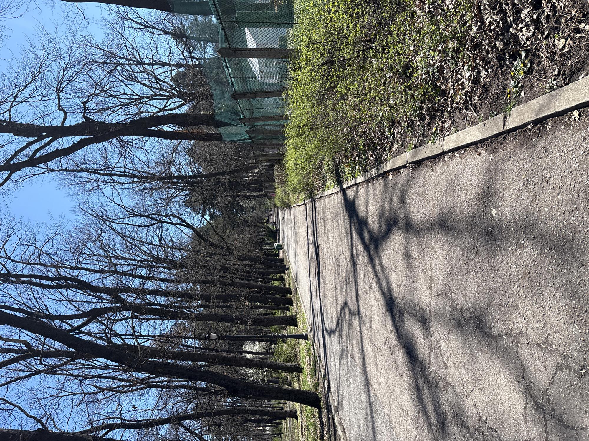 Spring morning scene captured at Sofia's Borisova Gradina park