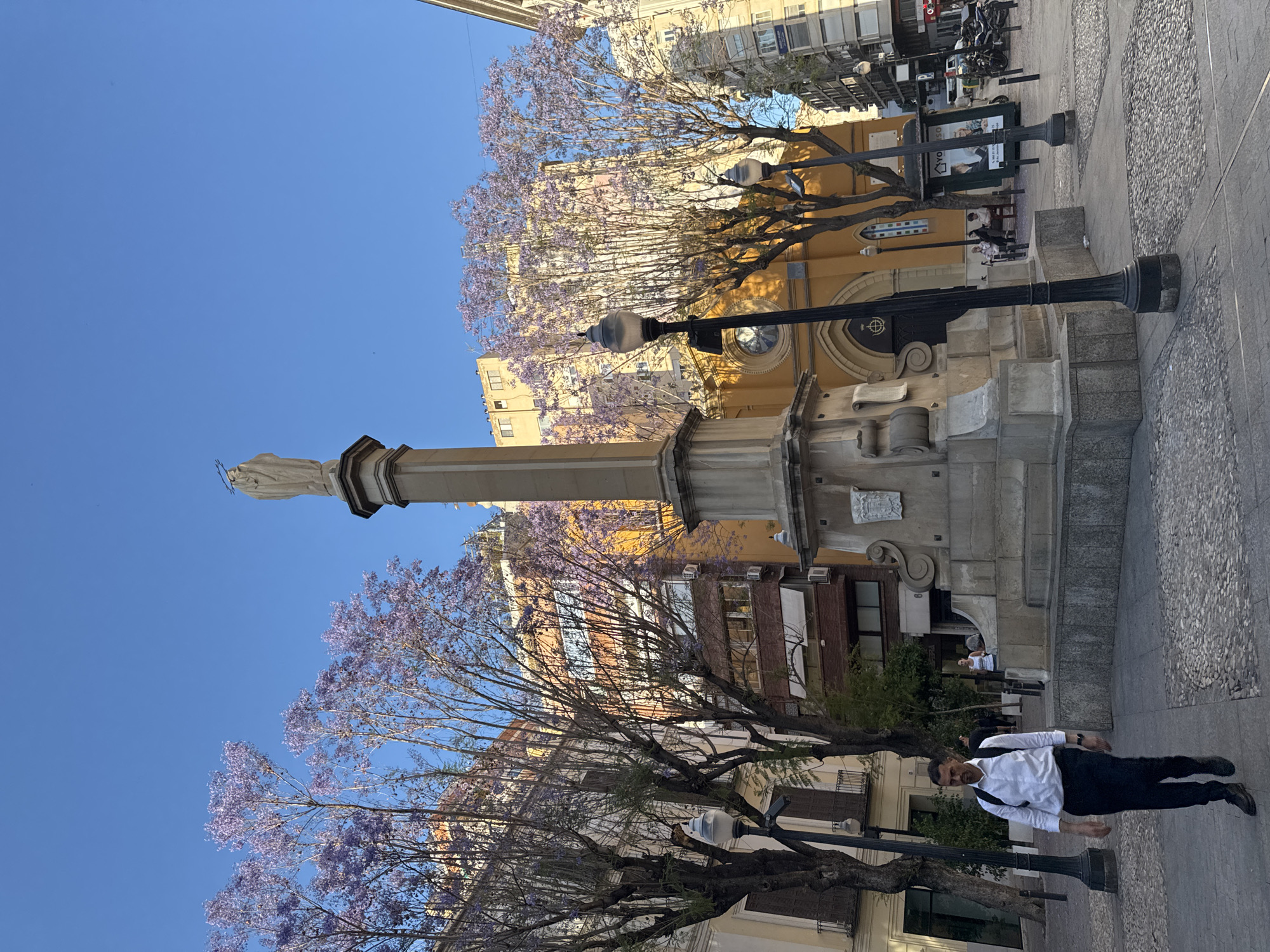Purple petals cover cobblestones near Murcia's historic plaza monument