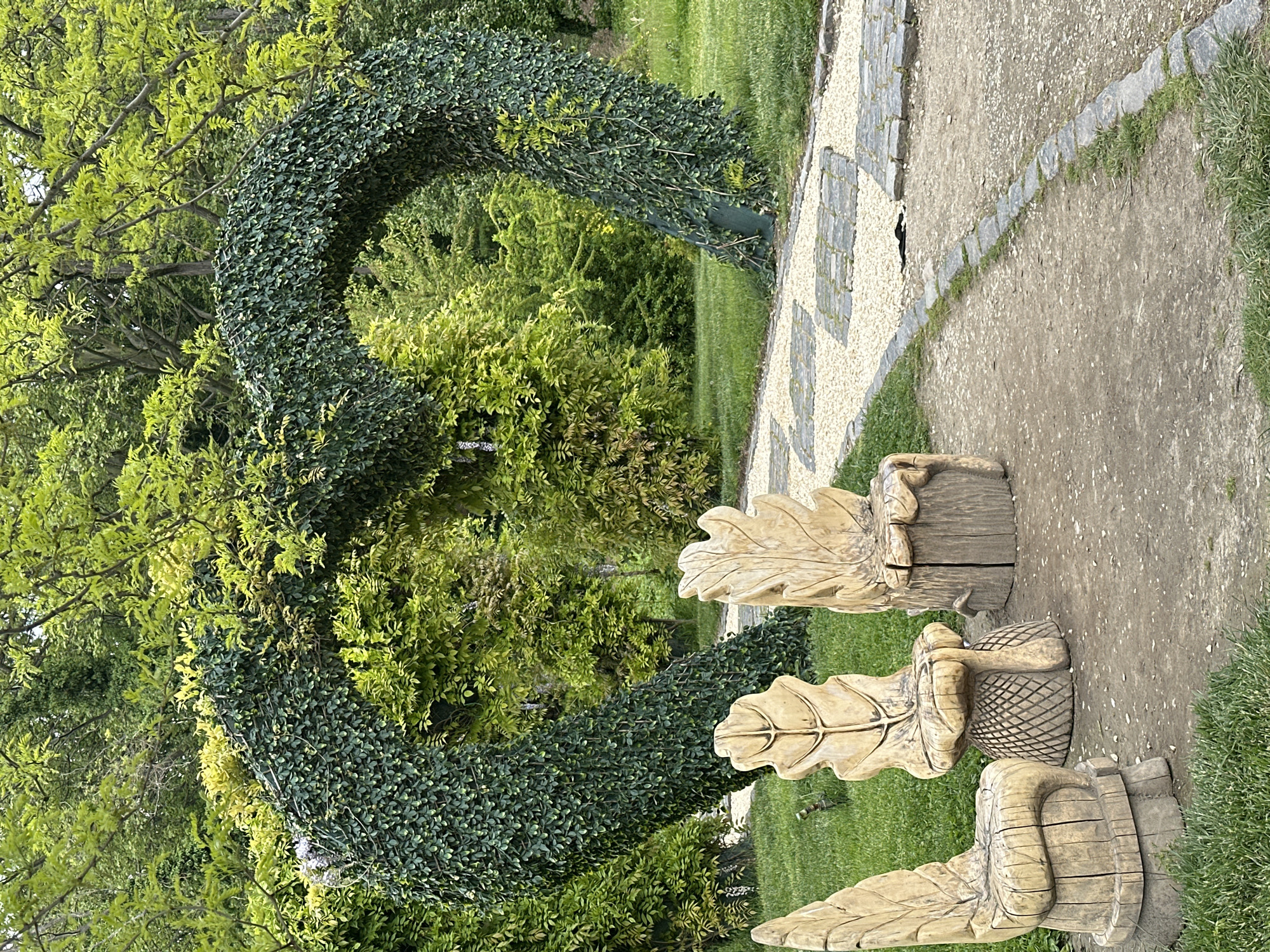 Visitor captures peaceful morning scenes at Craiova park