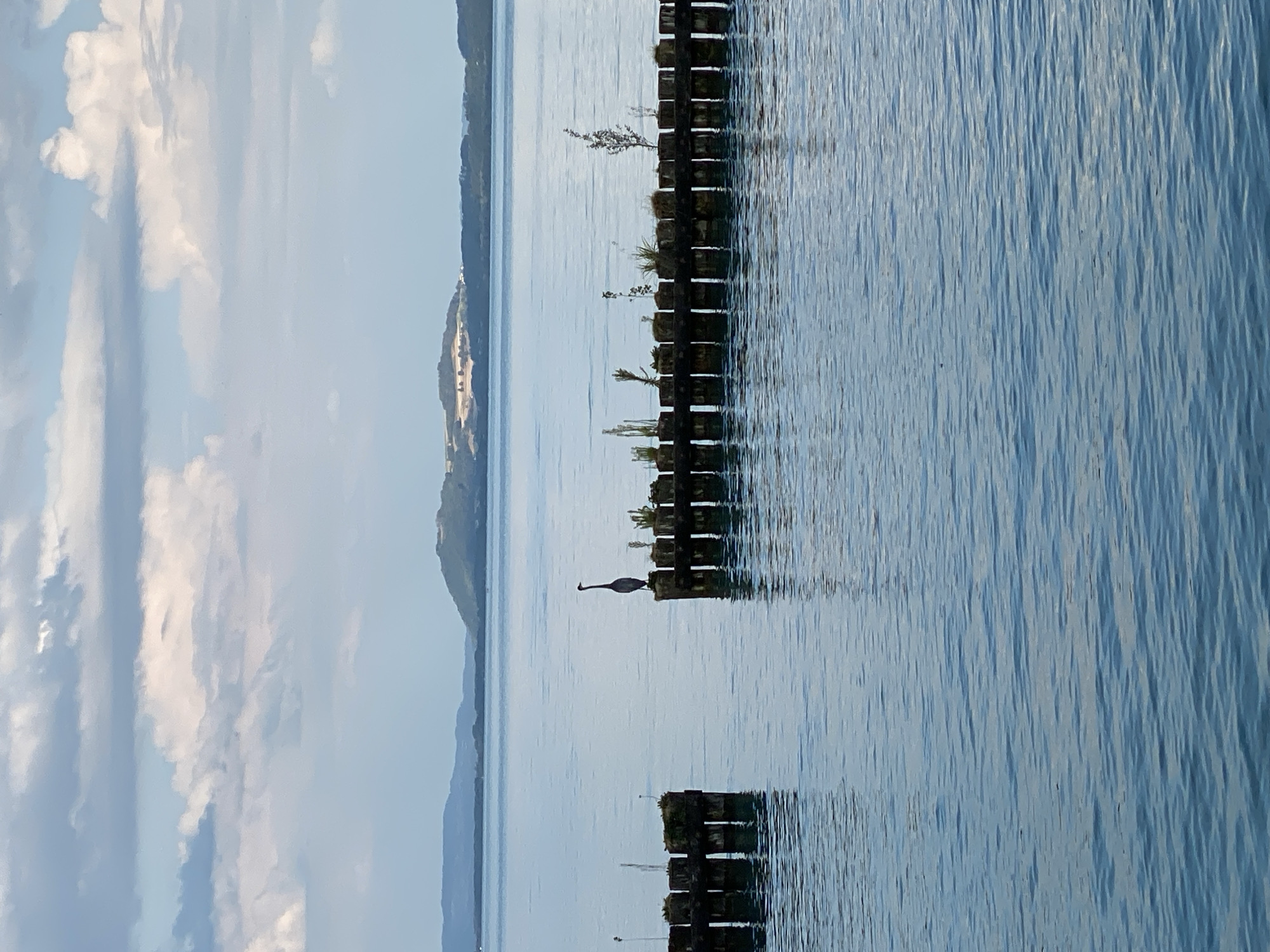 Overcast afternoon on a Swiss lake near Boudry