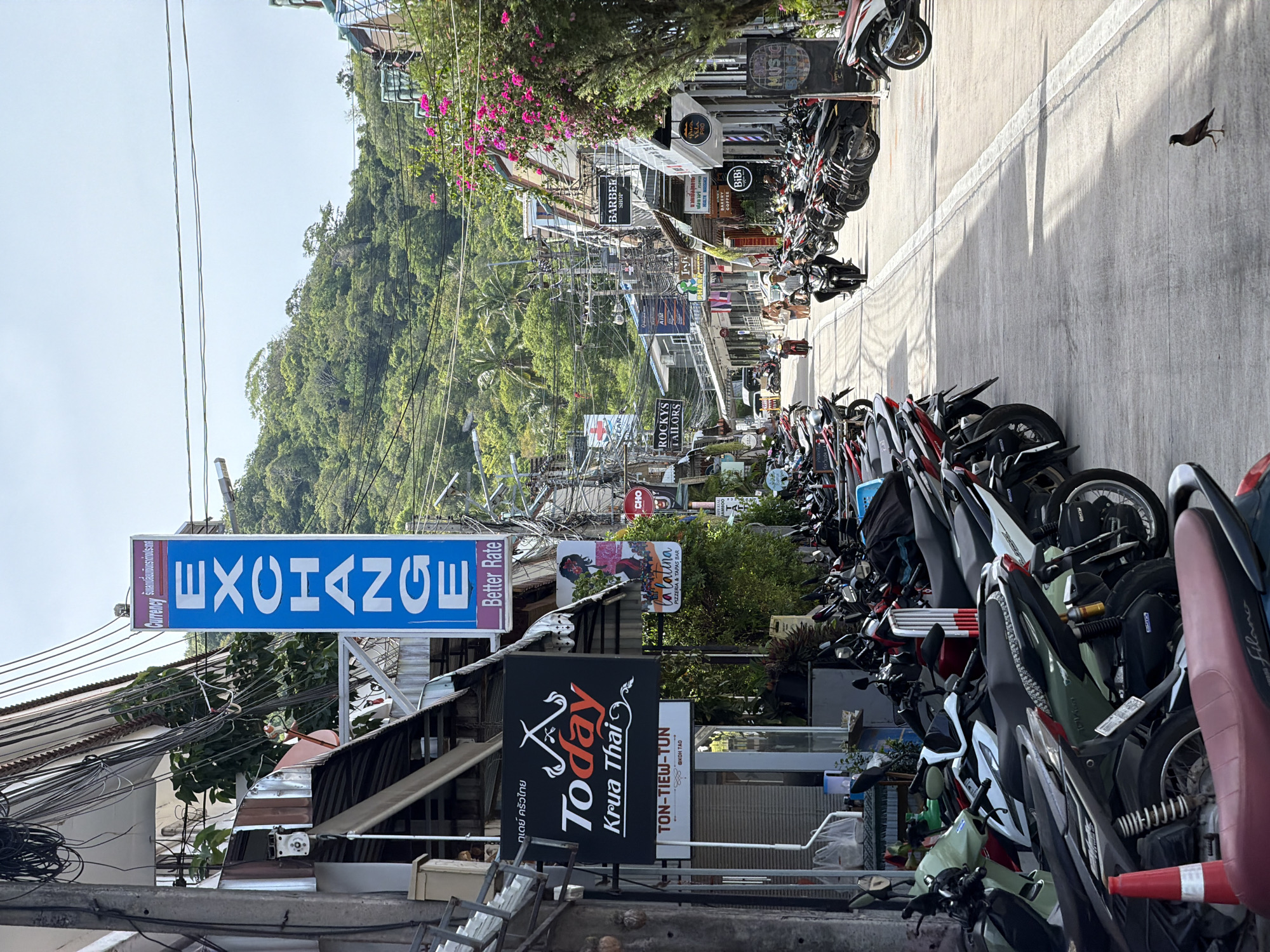 Ko Tao harbor life: dive boats, piers, and street scenes