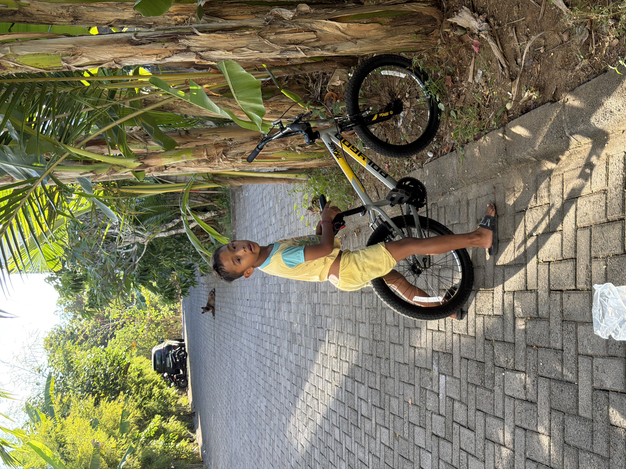 Lazy tropical morning: snacks, dogs, and a backyard fire in Kuta Selatan