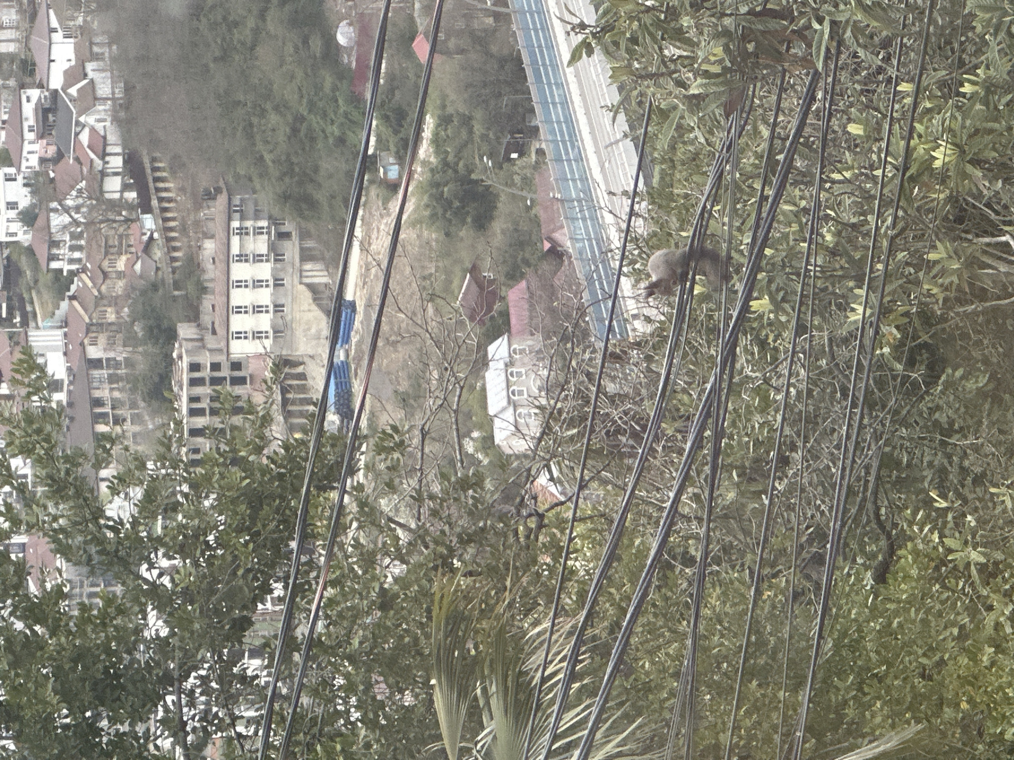 Casual afternoon moments captured across Sochi cityscape and dining