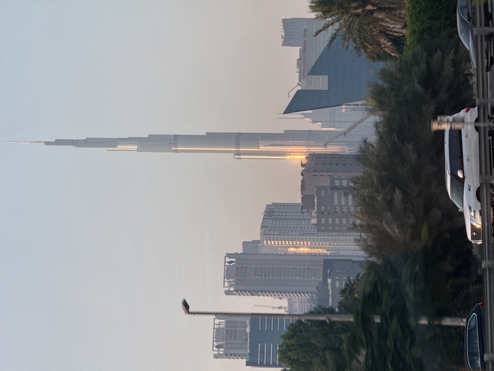 Dubai skyline with Burj Khalifa photographed through foliage