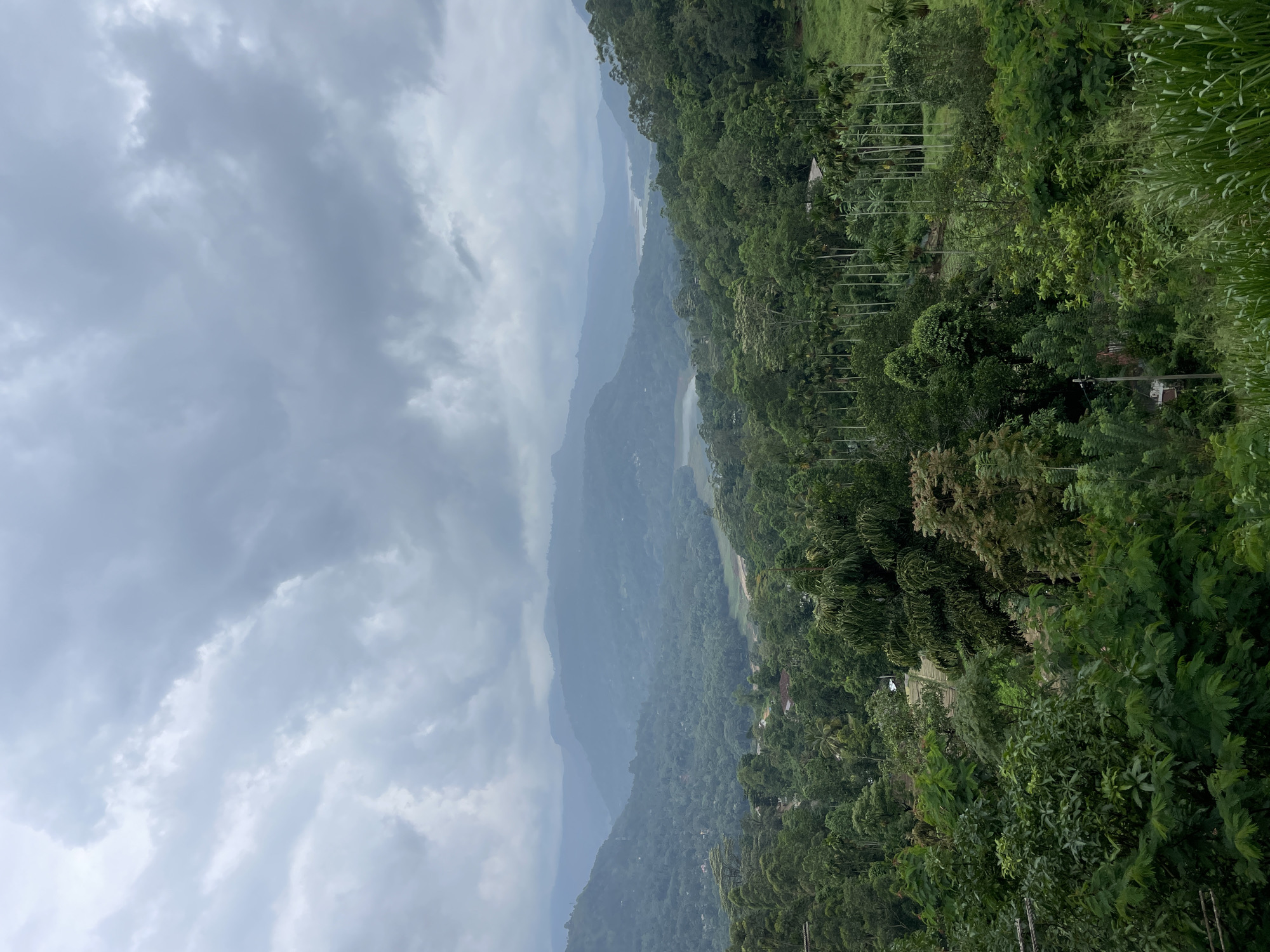 Morning scenes captured in Tawalantenna valley, Sri Lanka
