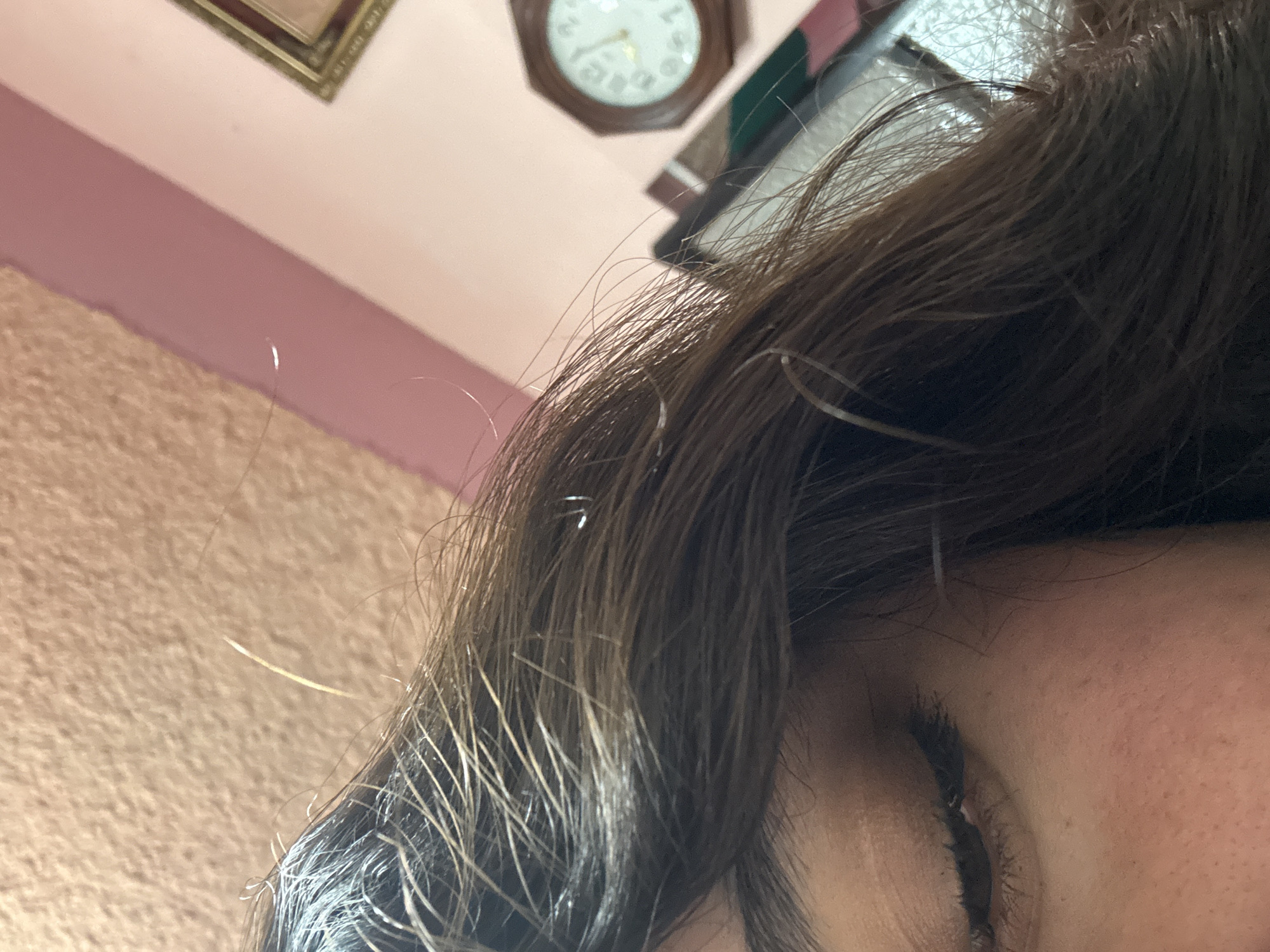 Early morning domestic scenes captured in San Cristóbal home