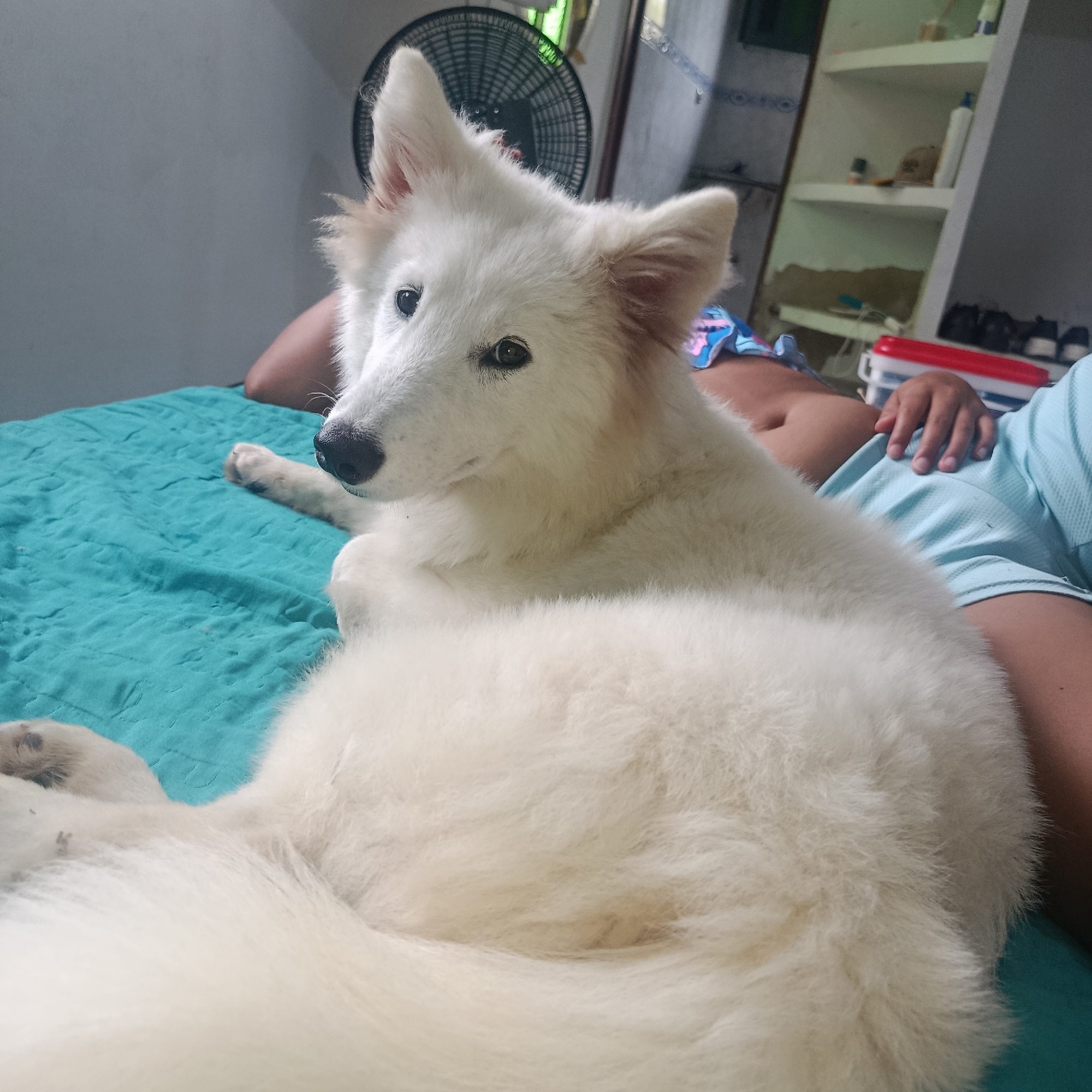 Quiet domestic moments documented in Venezuelan household