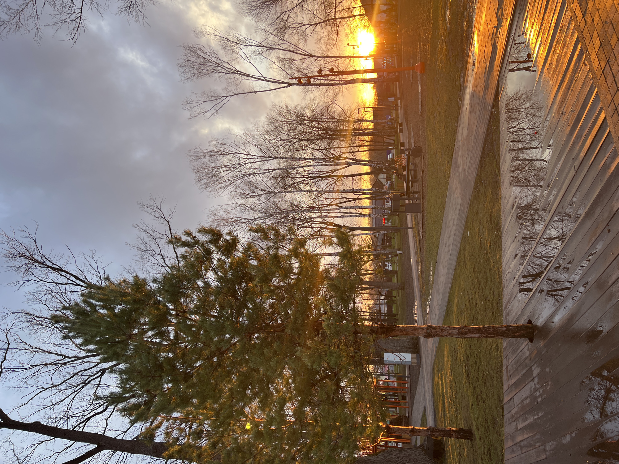 Sunset park scene captured in Ufa with swings, trees