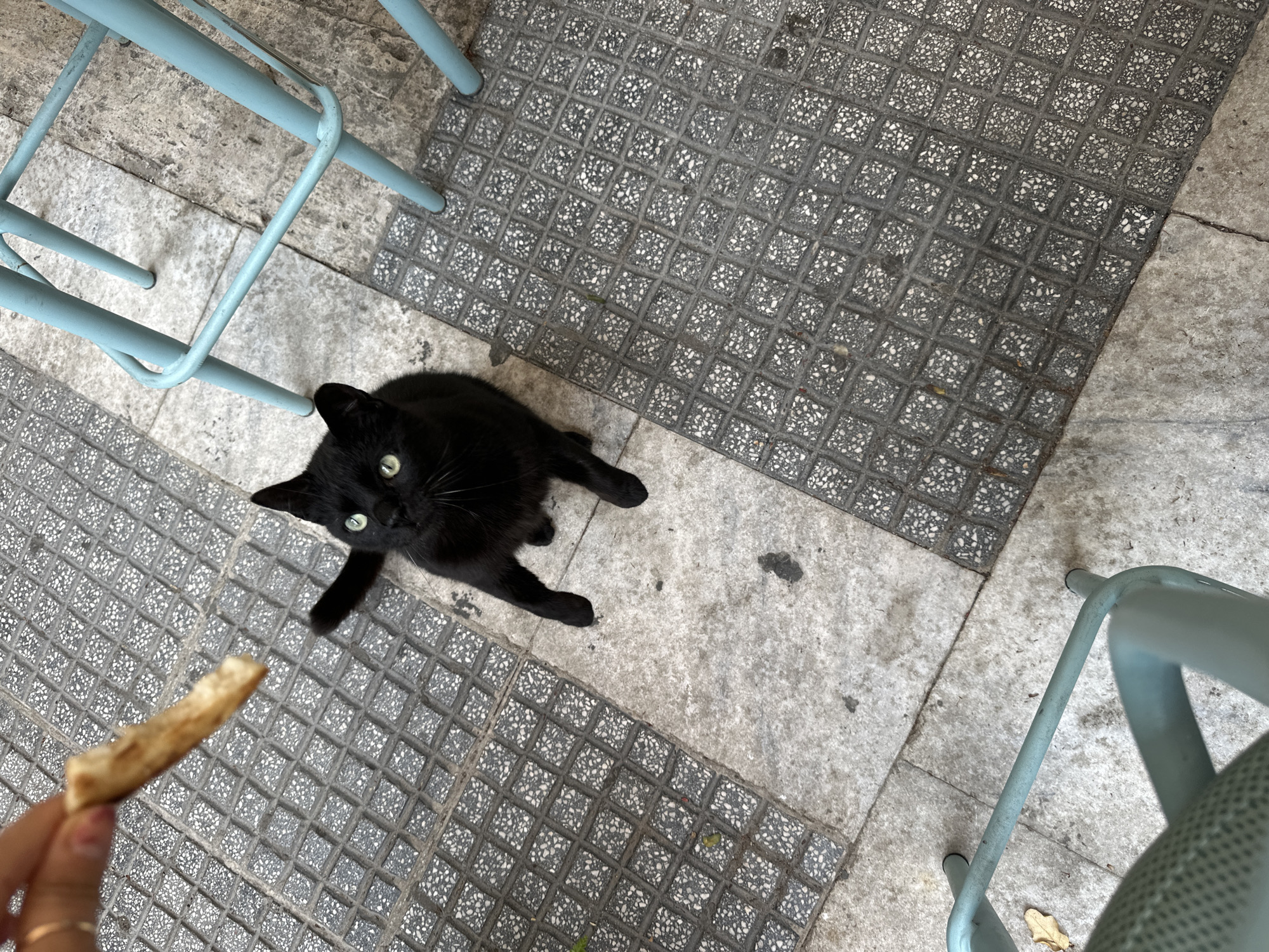 Afternoon snapshots capture daily life in Serres, Greece