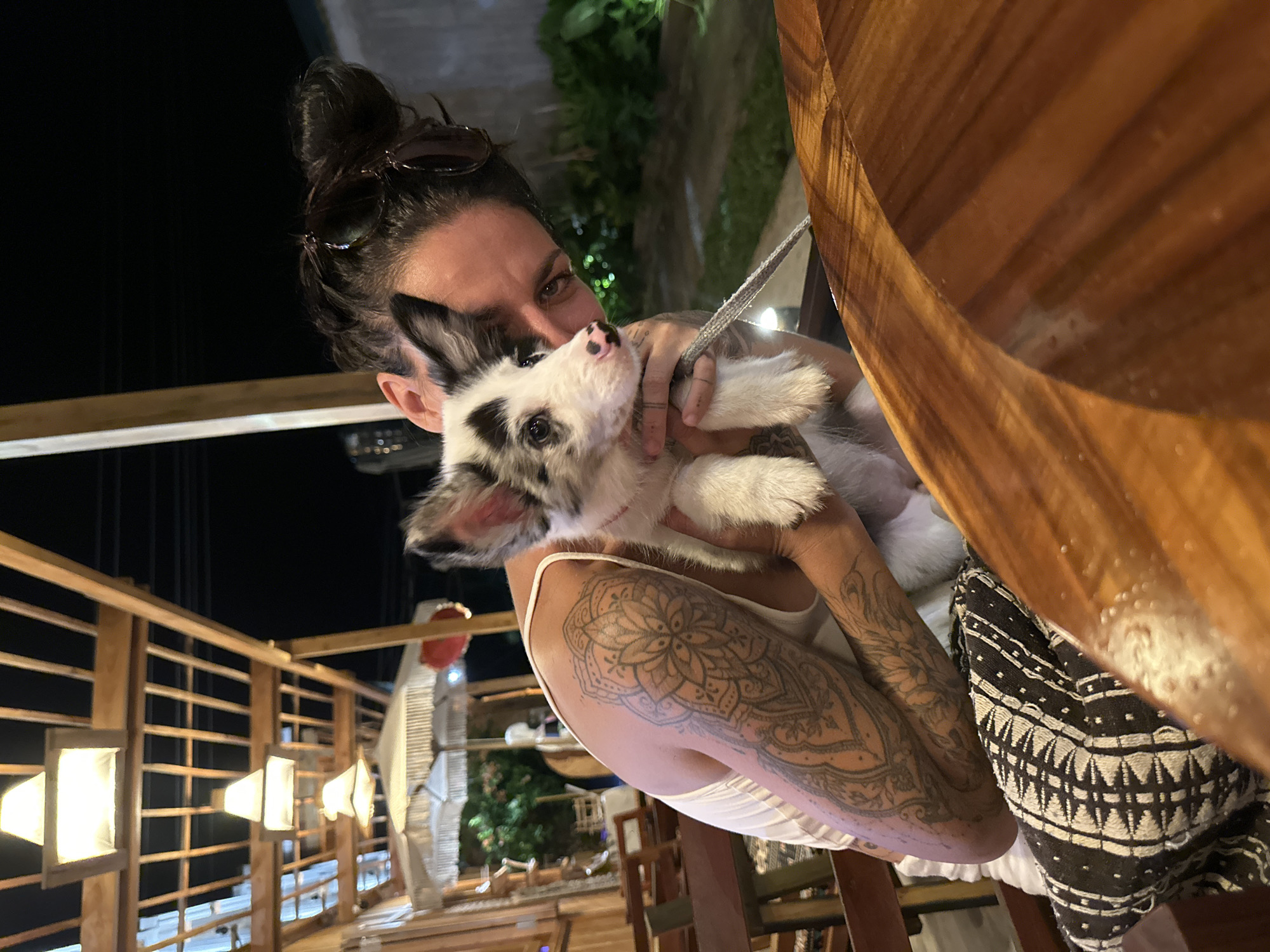Casual restaurant hangout in Phu Thuy Ward with an adorable puppy