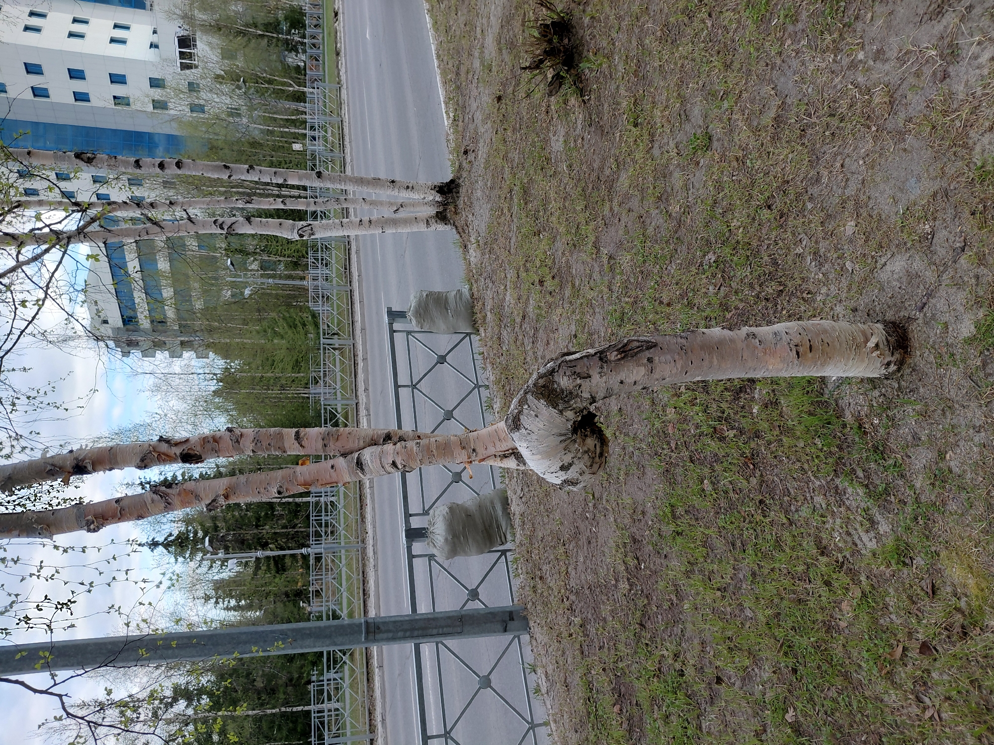 Witness documents quiet afternoon moments in Nadym, Russia